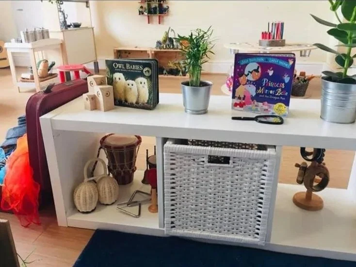 White shelf with children's books, potted plants, and toys inside and on top, located in a playroom or child's area.