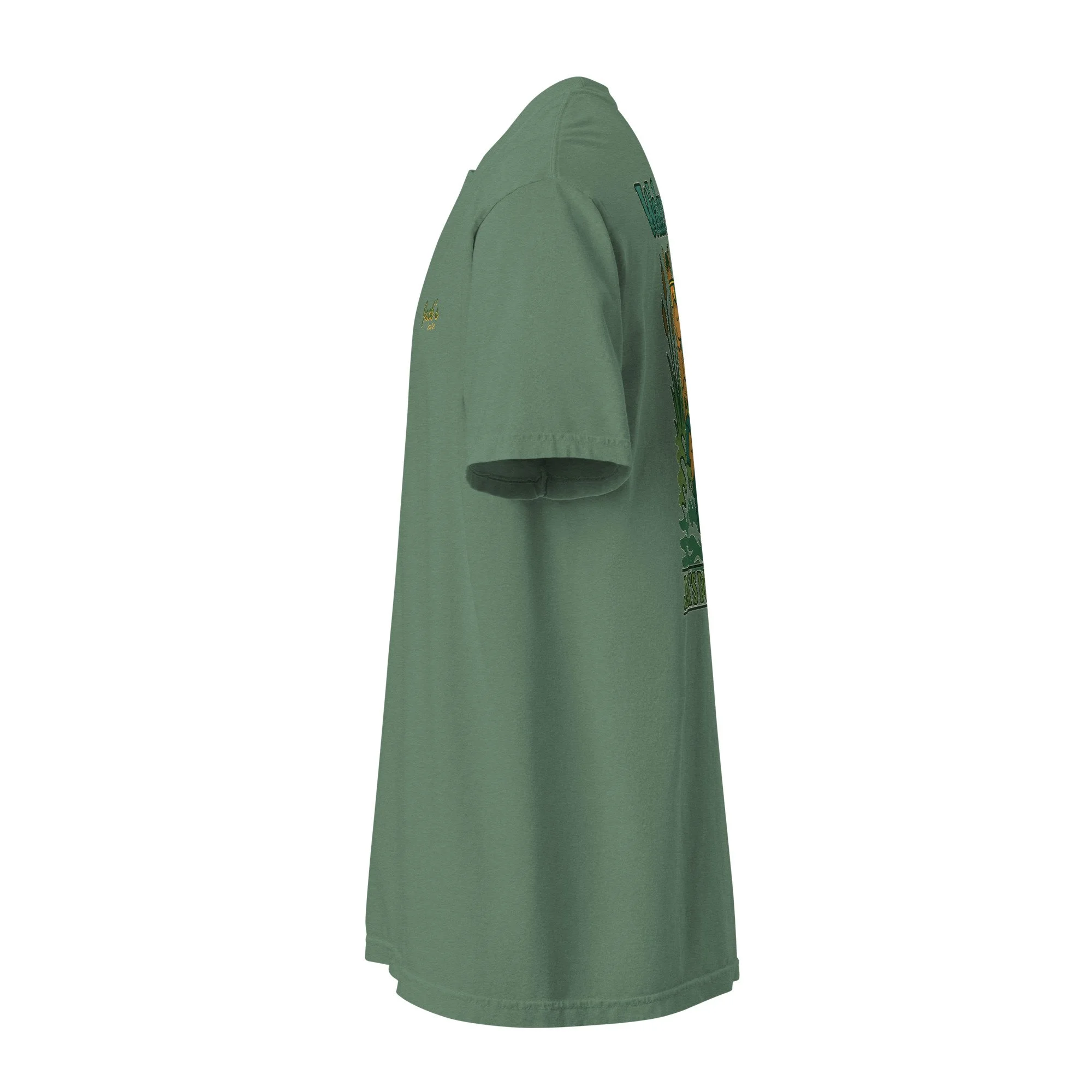 unisex-garment-dyed-heavyweight-t-shirt-light-green-left-688bd72c66b55.jpg