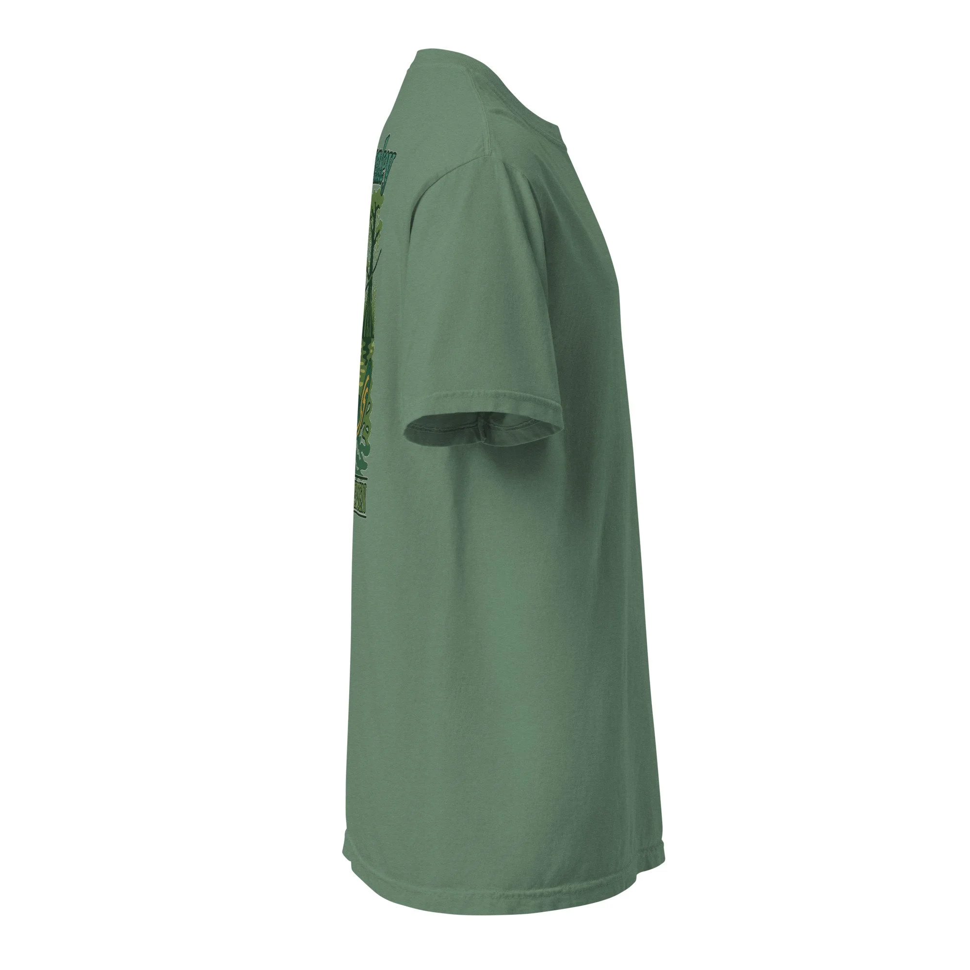 unisex-garment-dyed-heavyweight-t-shirt-light-green-right-688bd72c66f40.jpg