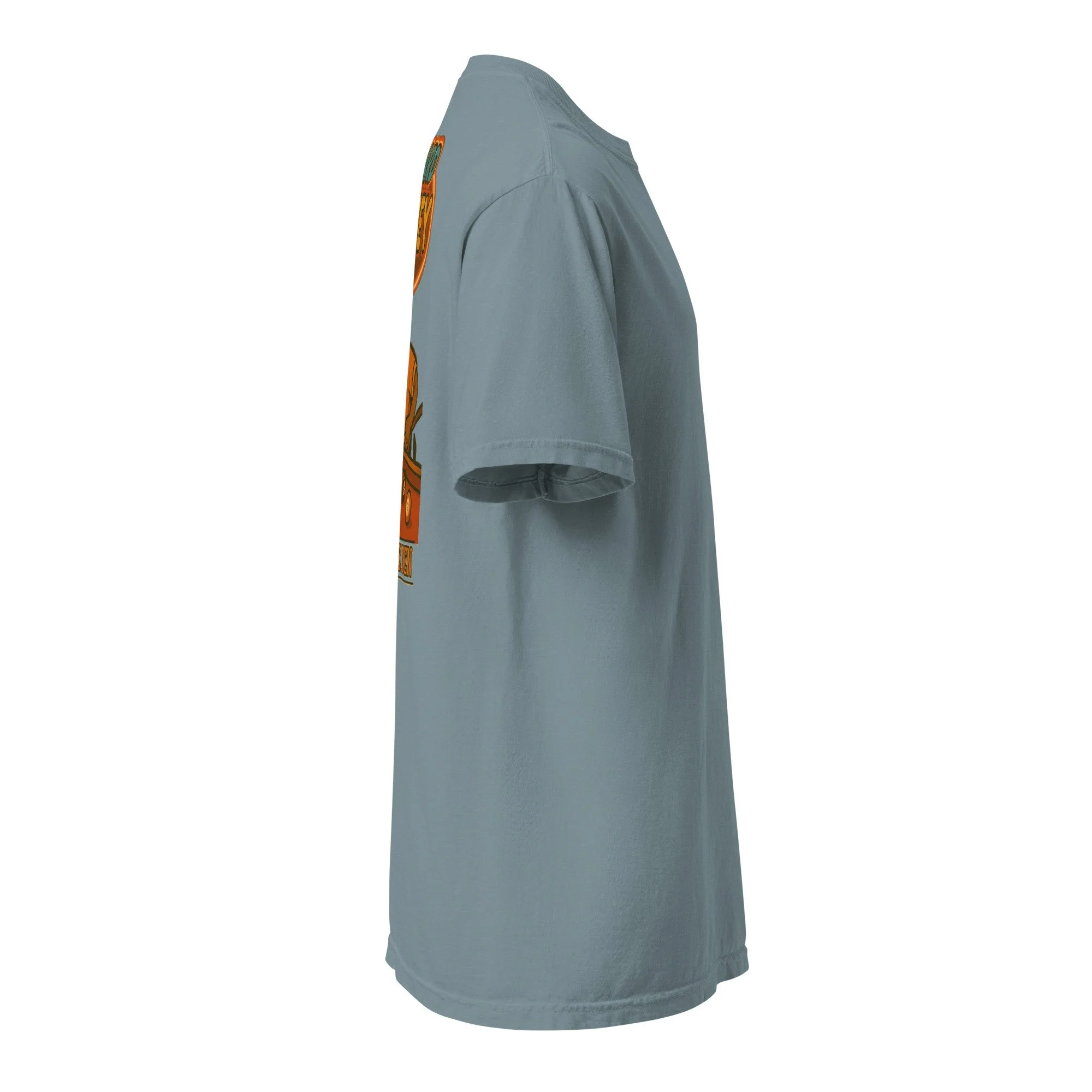 unisex-garment-dyed-heavyweight-t-shirt-ice-blue-right-688ce9b082177.jpg