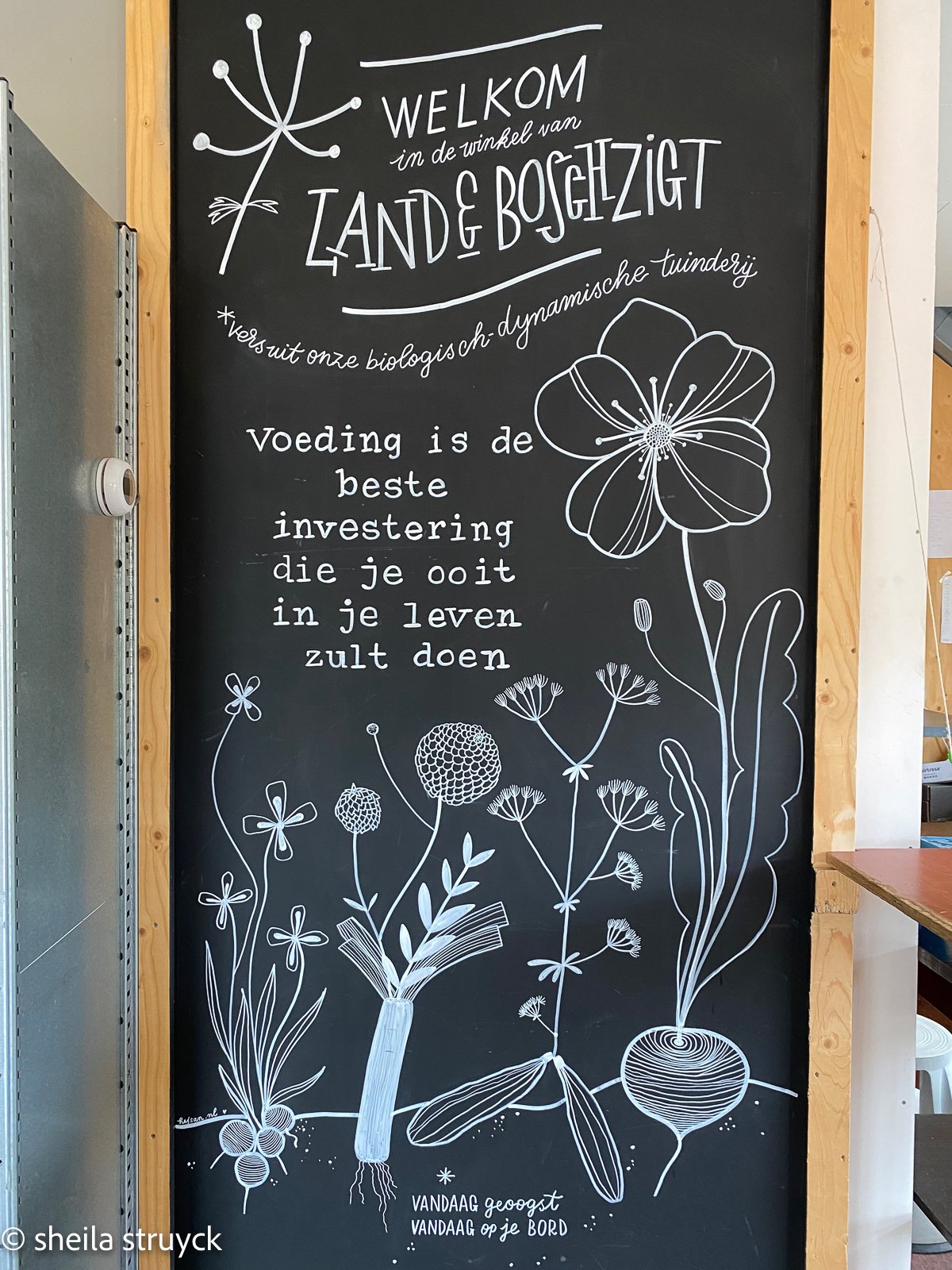 Purpose is magneet voor gemotiveerde medewerkers