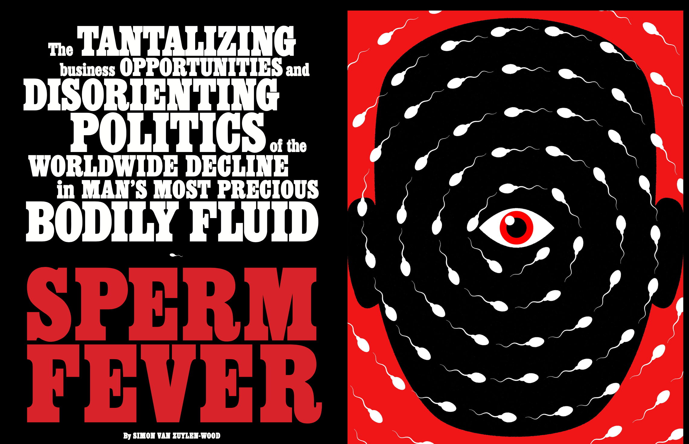 Seed Capitalists // New York Magazine