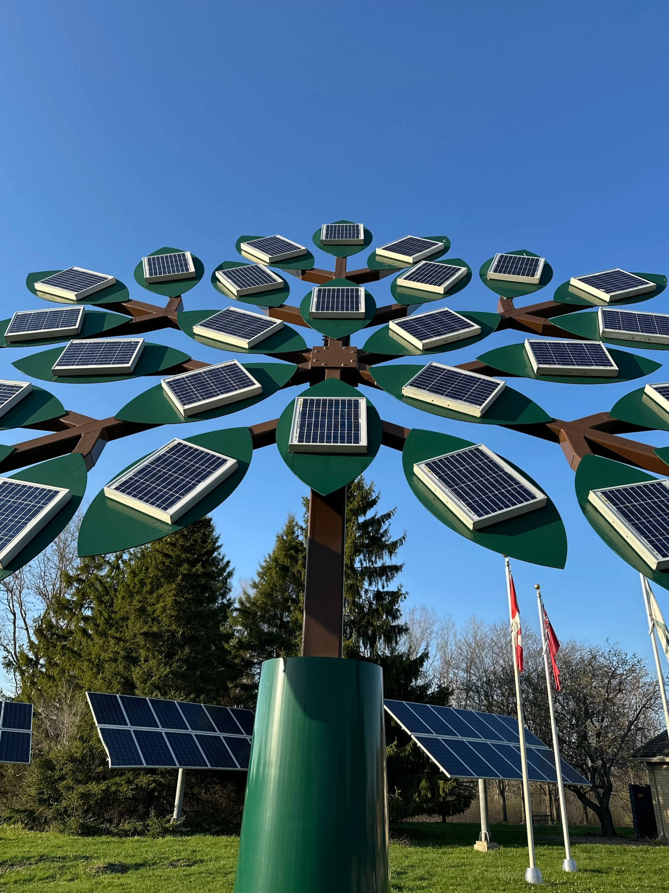 A metal sculpture of a tree covered with multiple solar panels on each branch, set outdoors against a blue sky with some trees and flagpoles in the background.