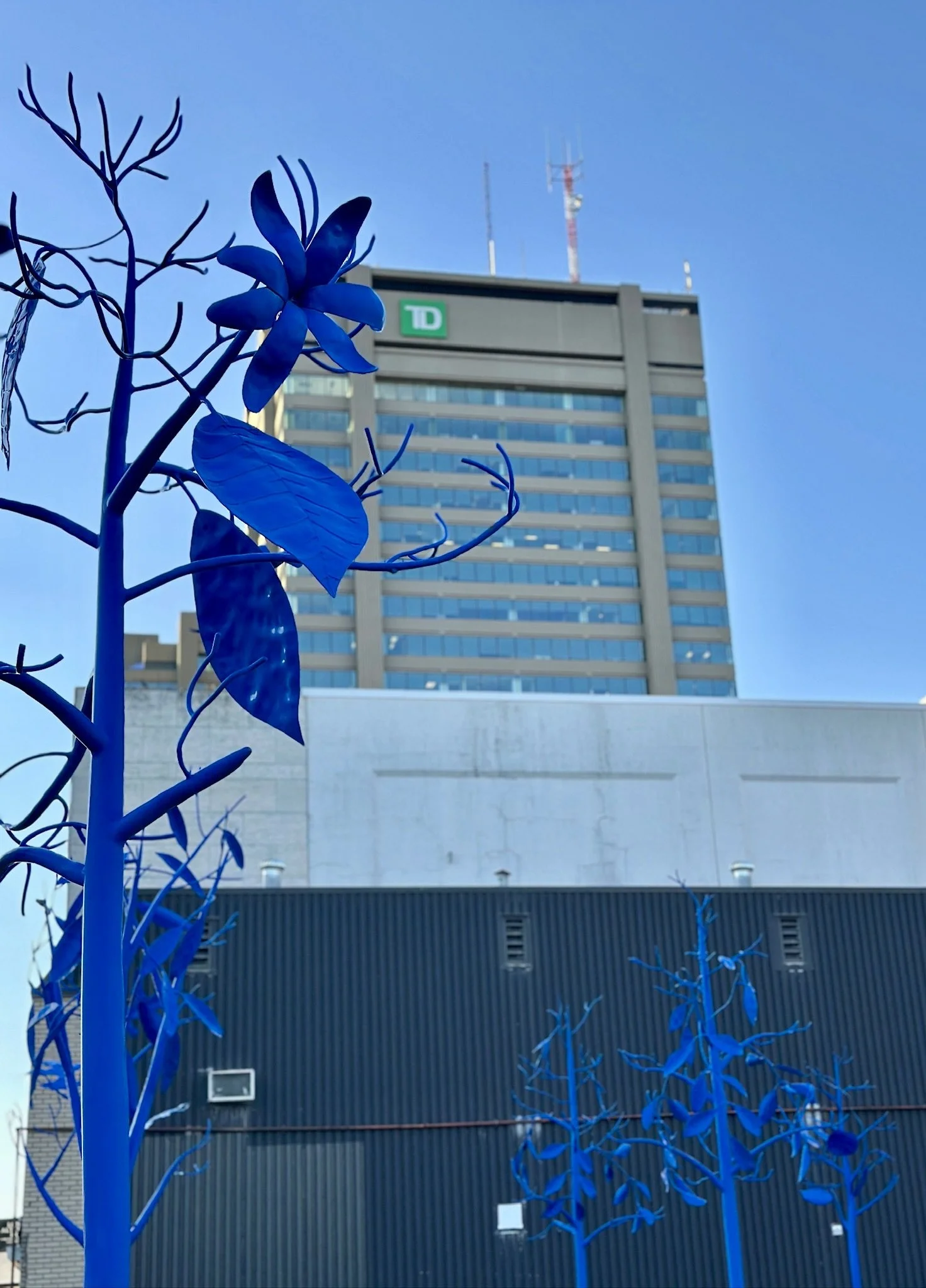 A cityscape with a tall office building featuring the TD Bank logo, antennas on the roof, and powder coated bright blue metal trees in the foreground against a clear blue sky.