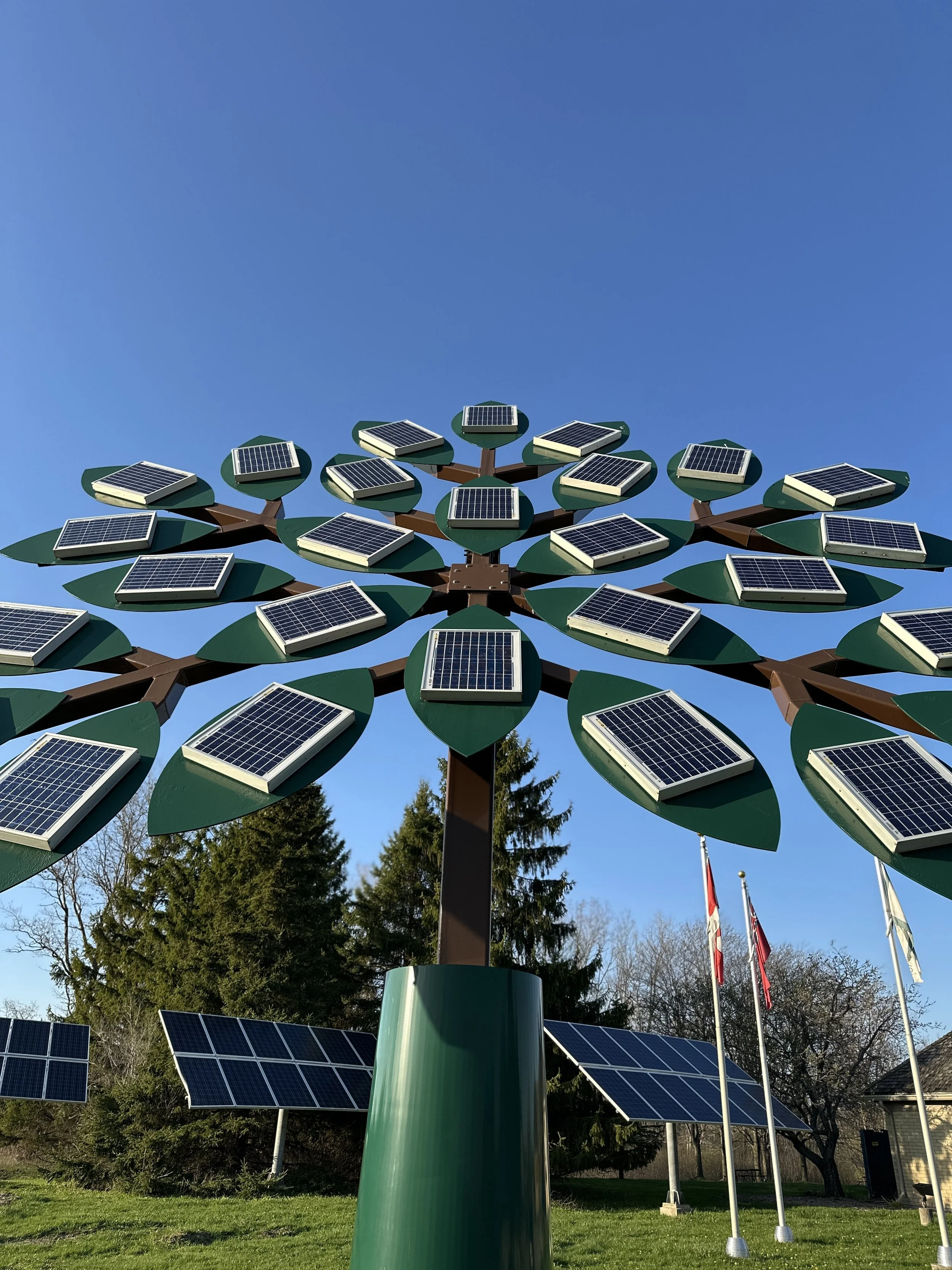 Large powder coated steel tree with solar panels