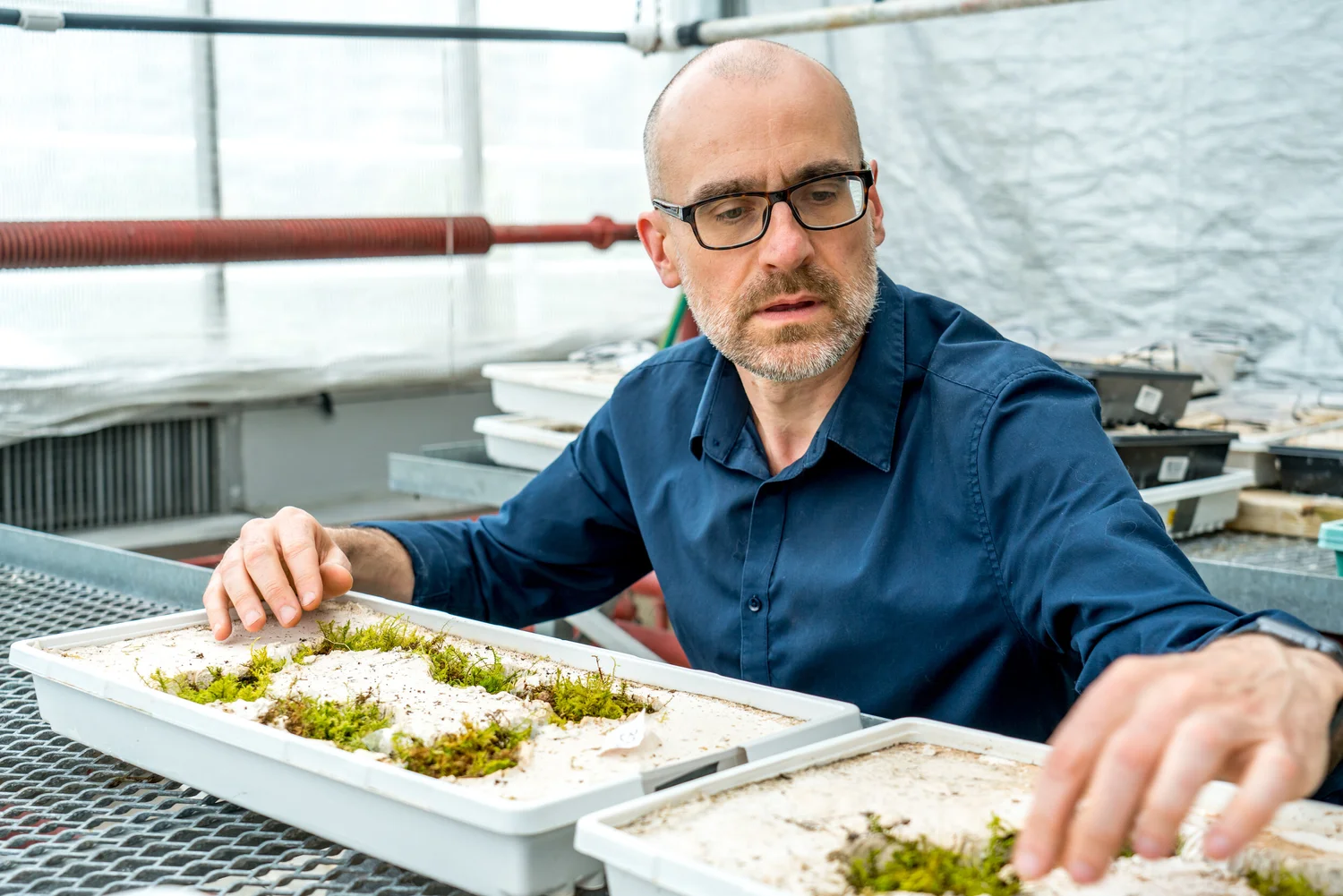 About the Lab — The Gonzalez Lab