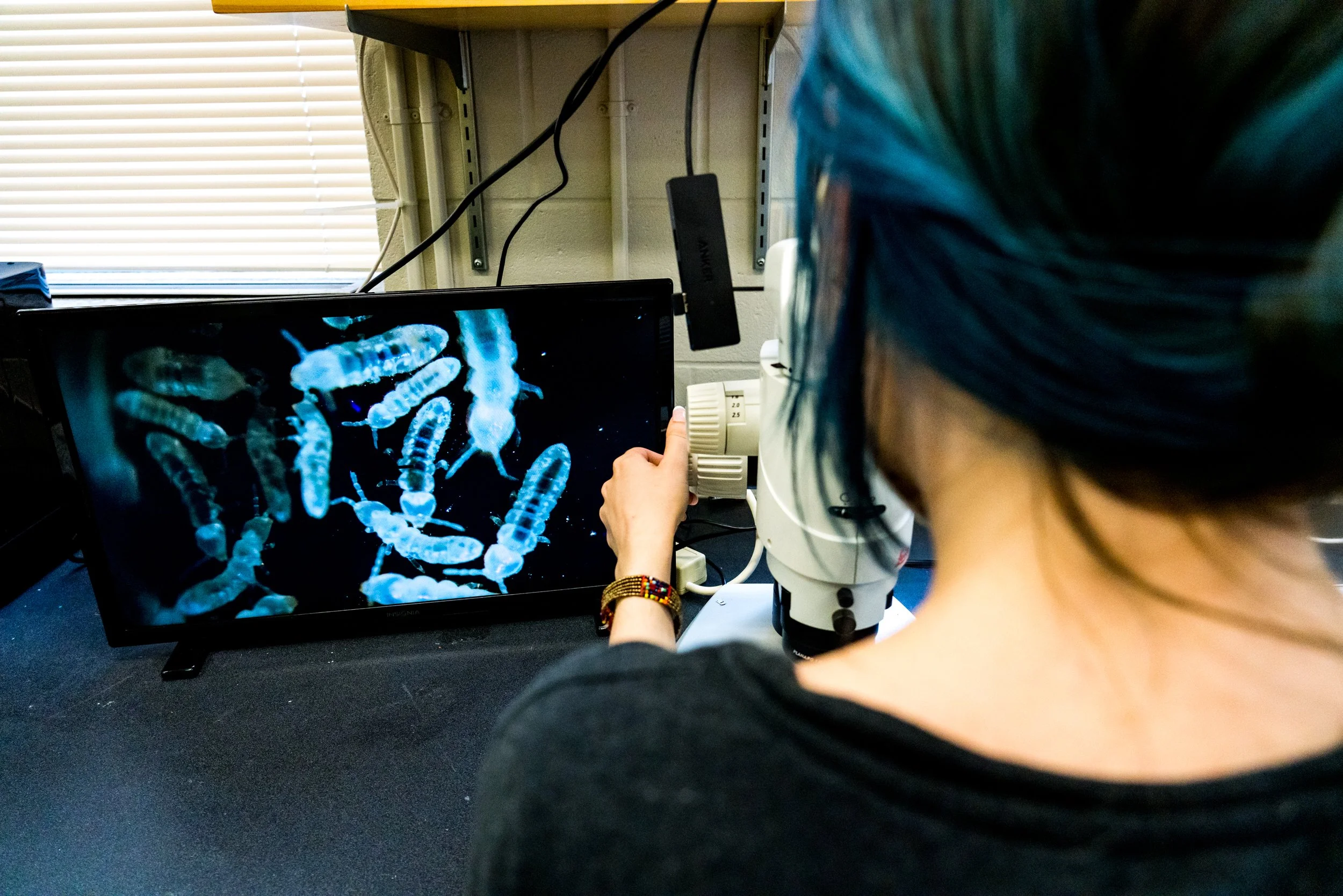 Towards reducing biodiversity loss in fragmented habitats