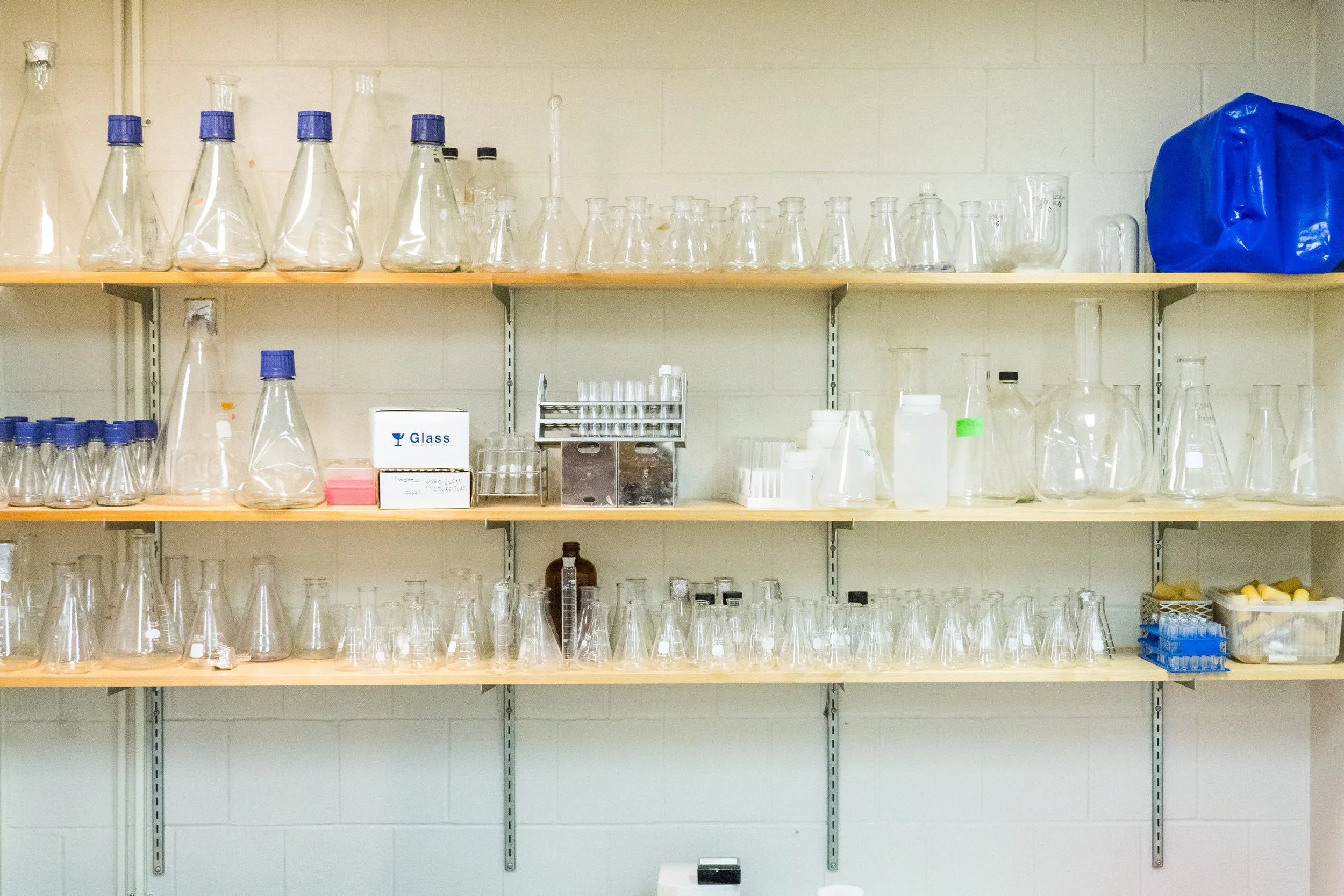 Gonzalez Lab-09981.jpg