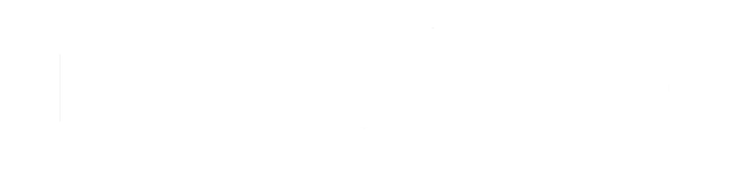 liber ero_white logo.png