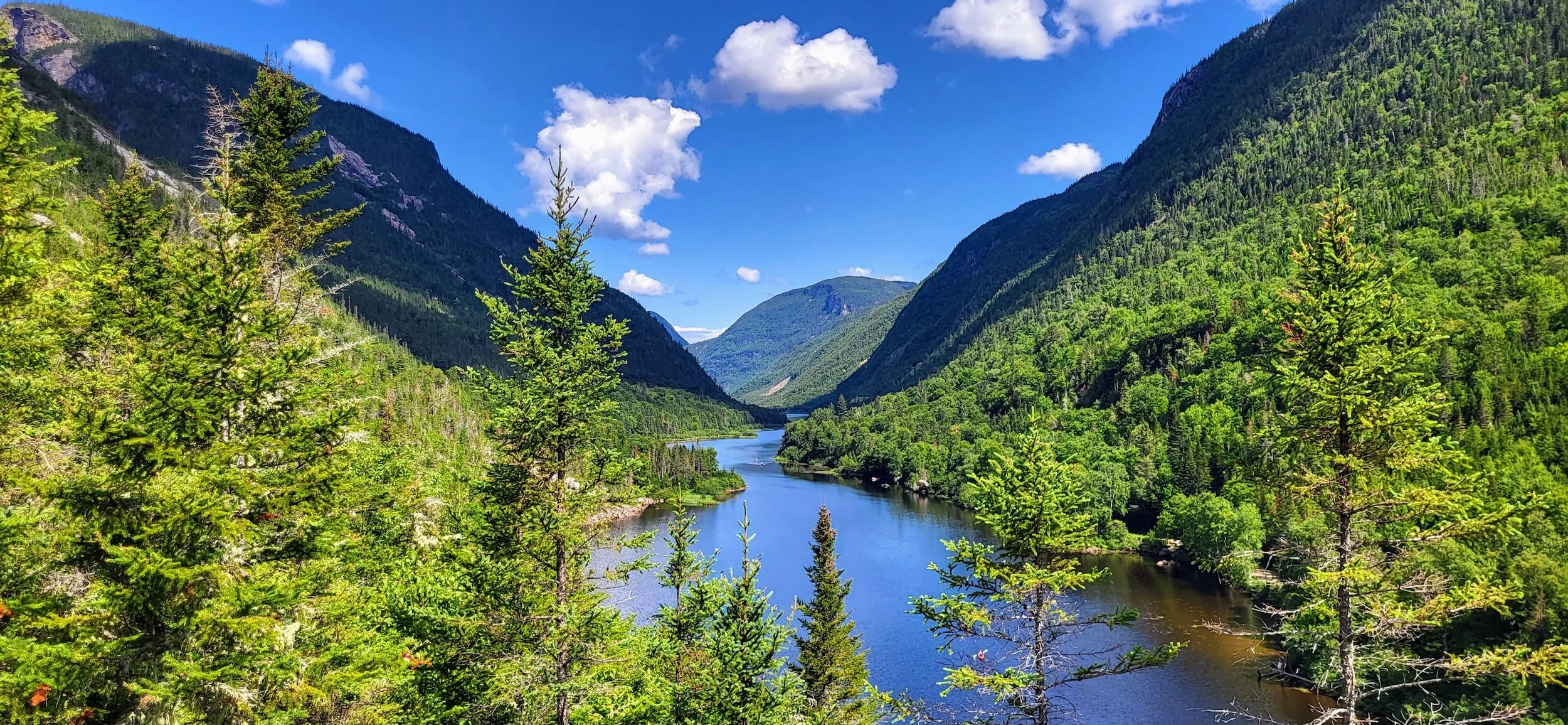 Quebec's Plan Nature: we need to emphasize science-based targets and monitoring for biodiversity success