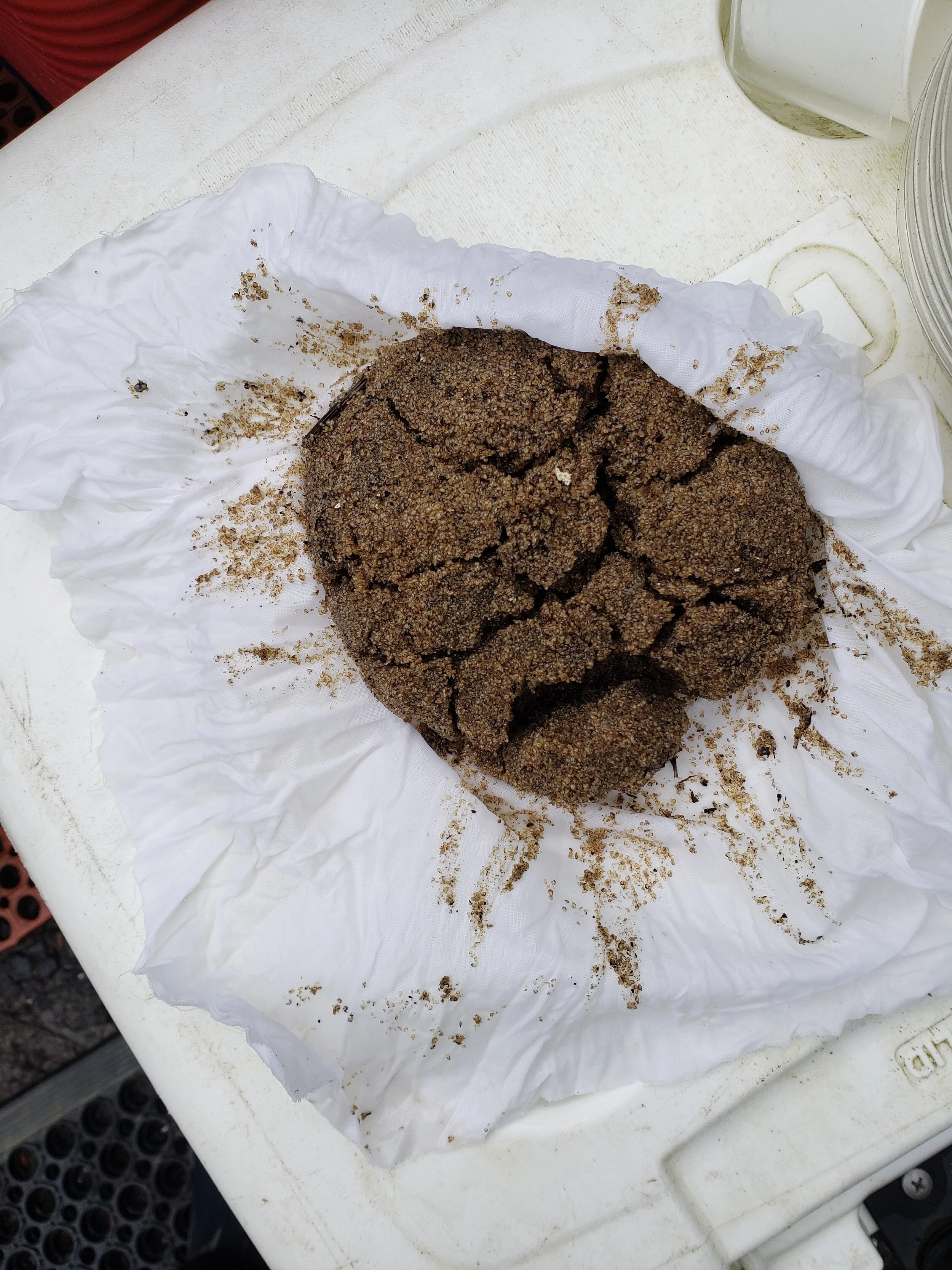Coffee Ground Diarrhea