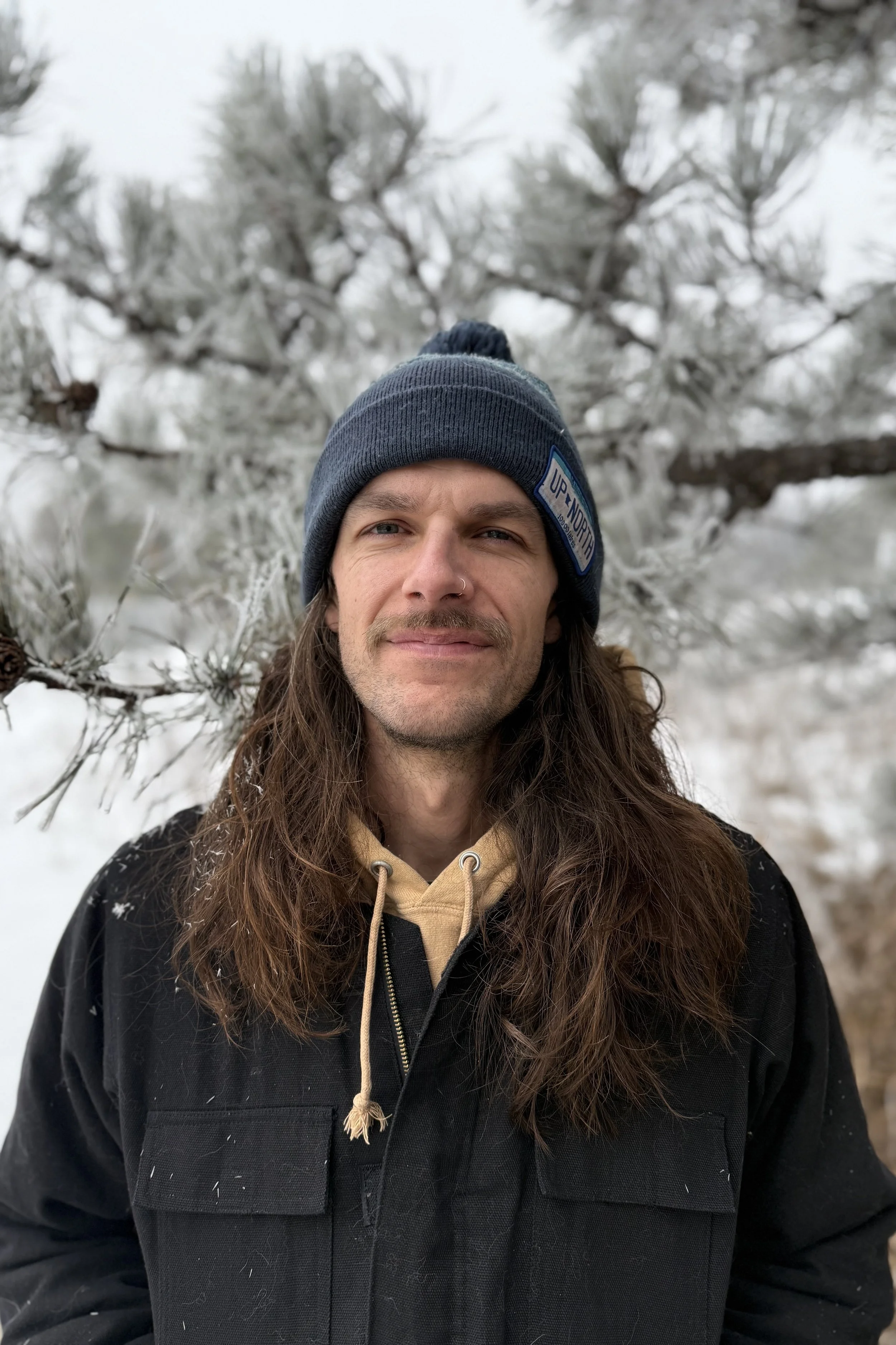 June Article: Cat Rescue and Tree Care