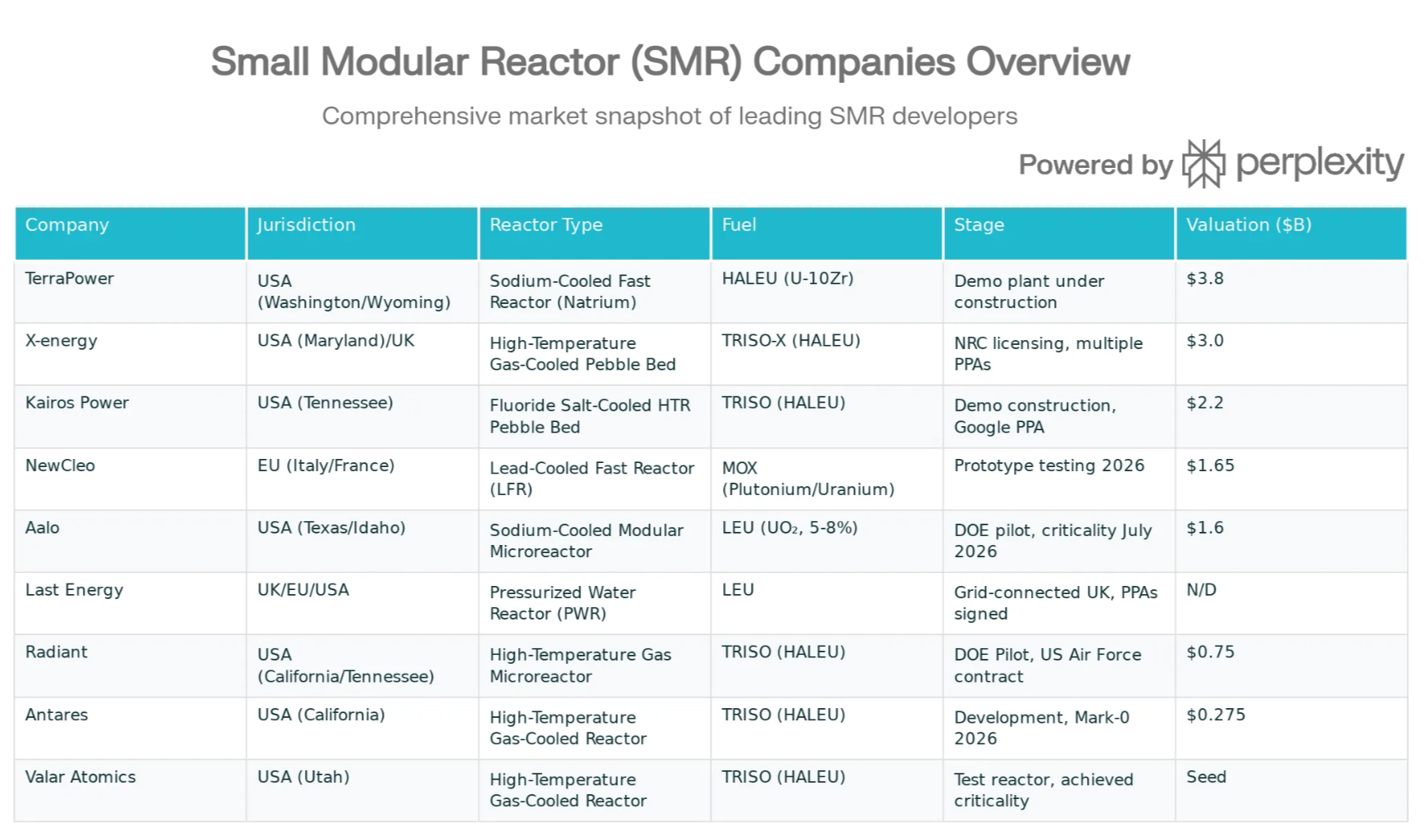 table with companies overview, including reactor type, fuel and development stage