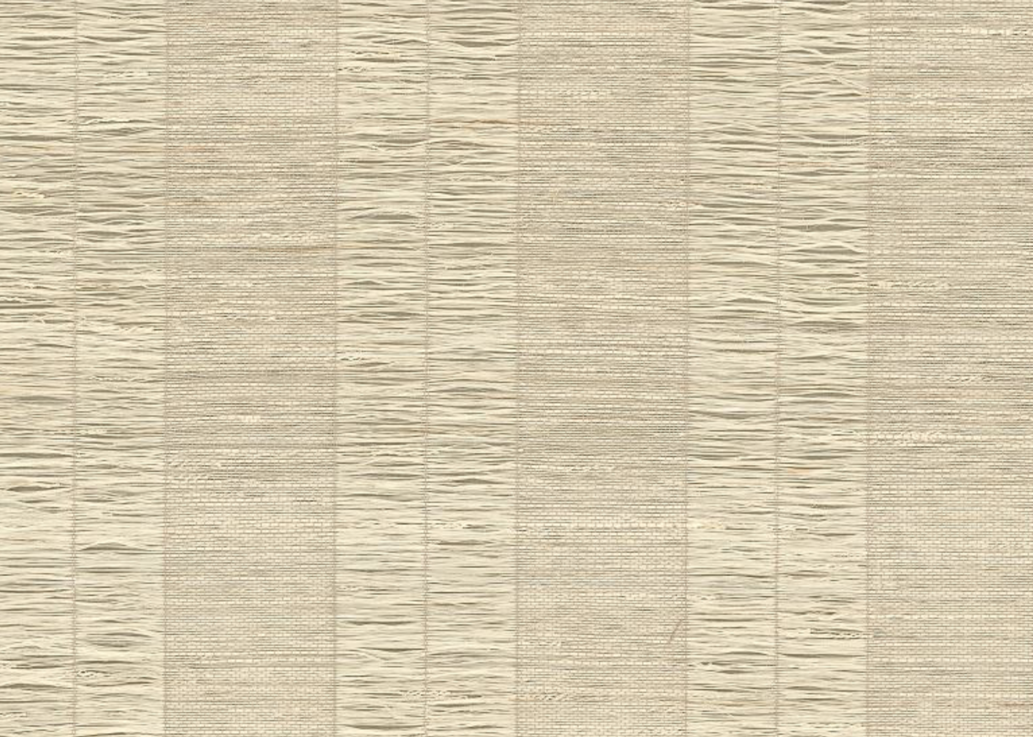 Woven - Darcy Exotic Ecru.png