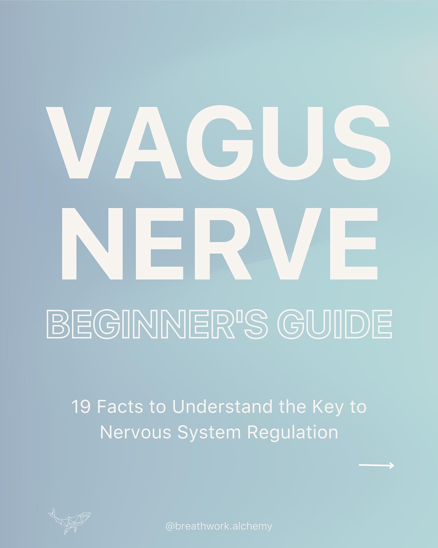The vagus nerve is probably the most popular nerve on social media. 🤪

I remember hearing about it years ago from a befriended naturopath who was helping me heal my SIBO (small intestinal bacterial overgrowth).

She kept telling me to do humming med