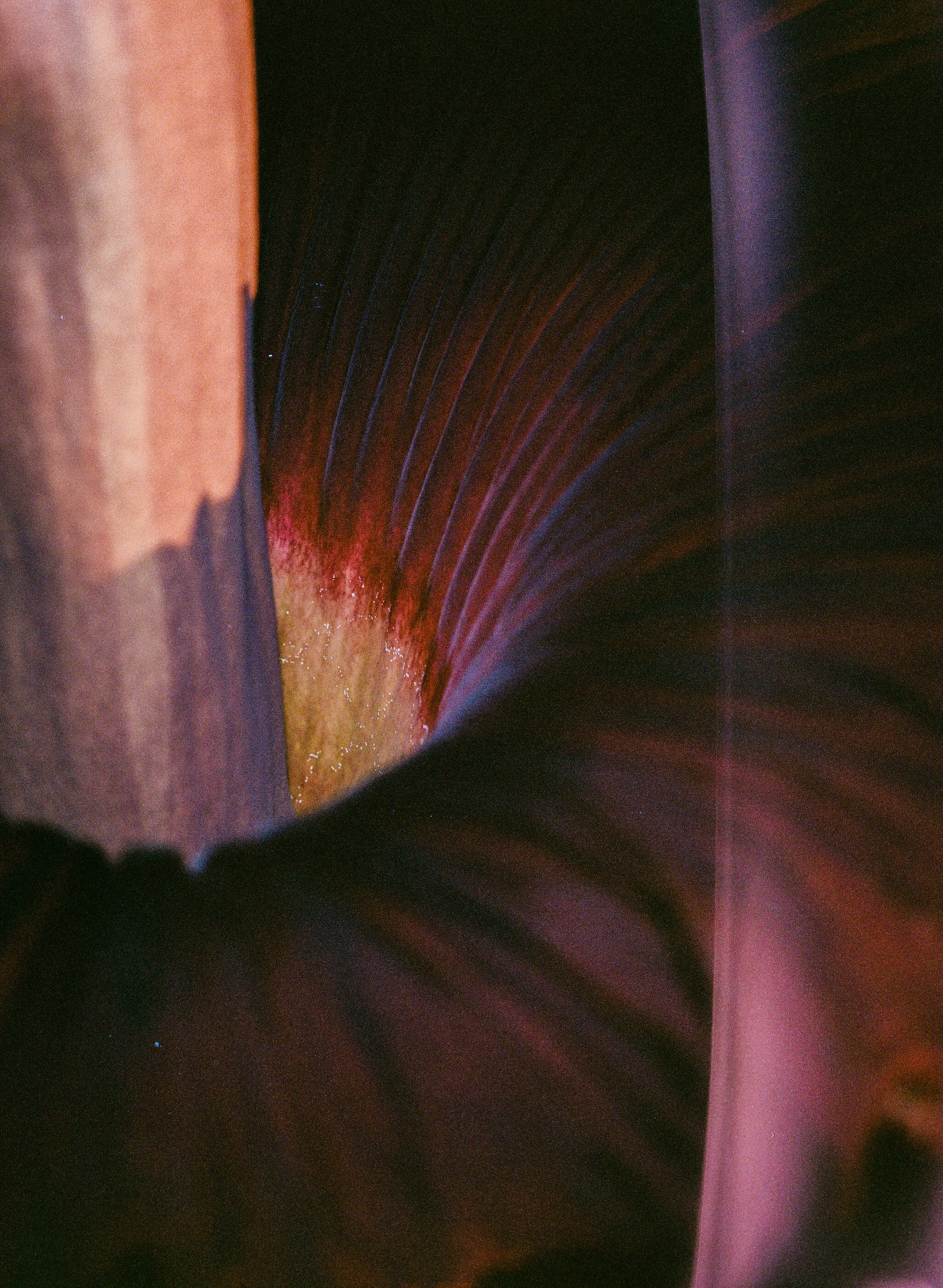 041-1-05.jpg