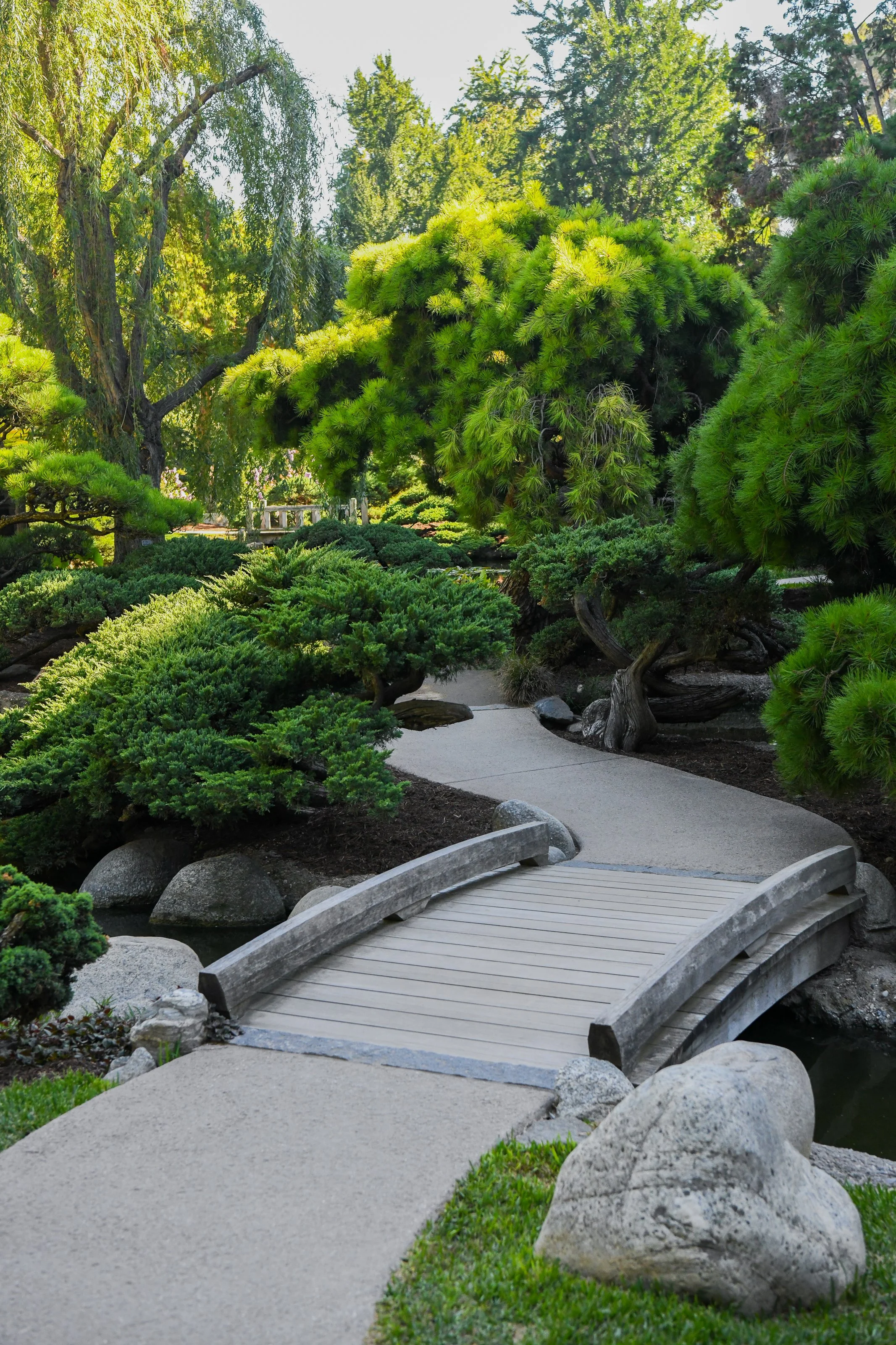 Japanese_Garden_Cover_Photo_DSC_3723.jpg