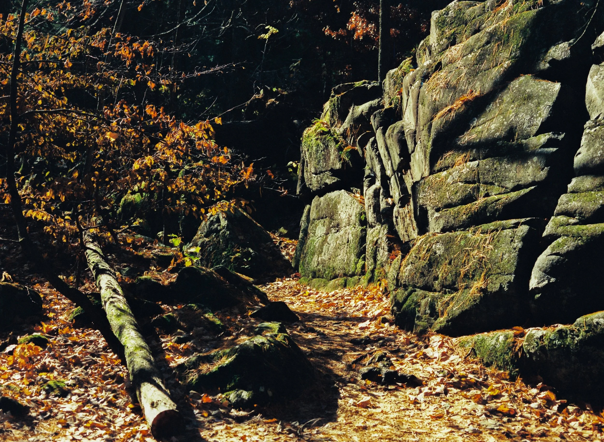 10_Ambrose_January2025_StCroixFalls_Wisconsin.jpeg