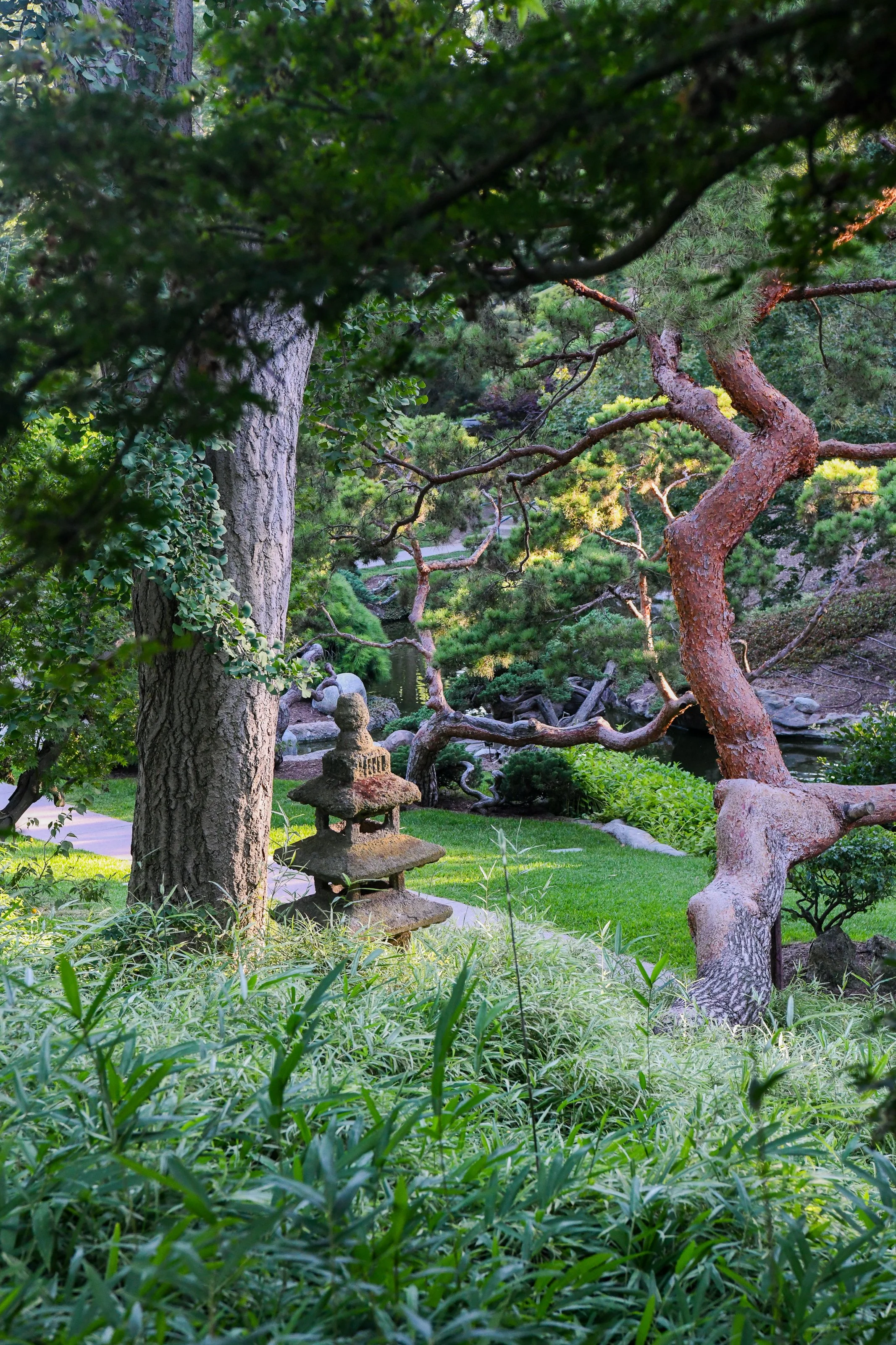 Japanese_Garden_Cover_Photo_DSC_3802.jpg