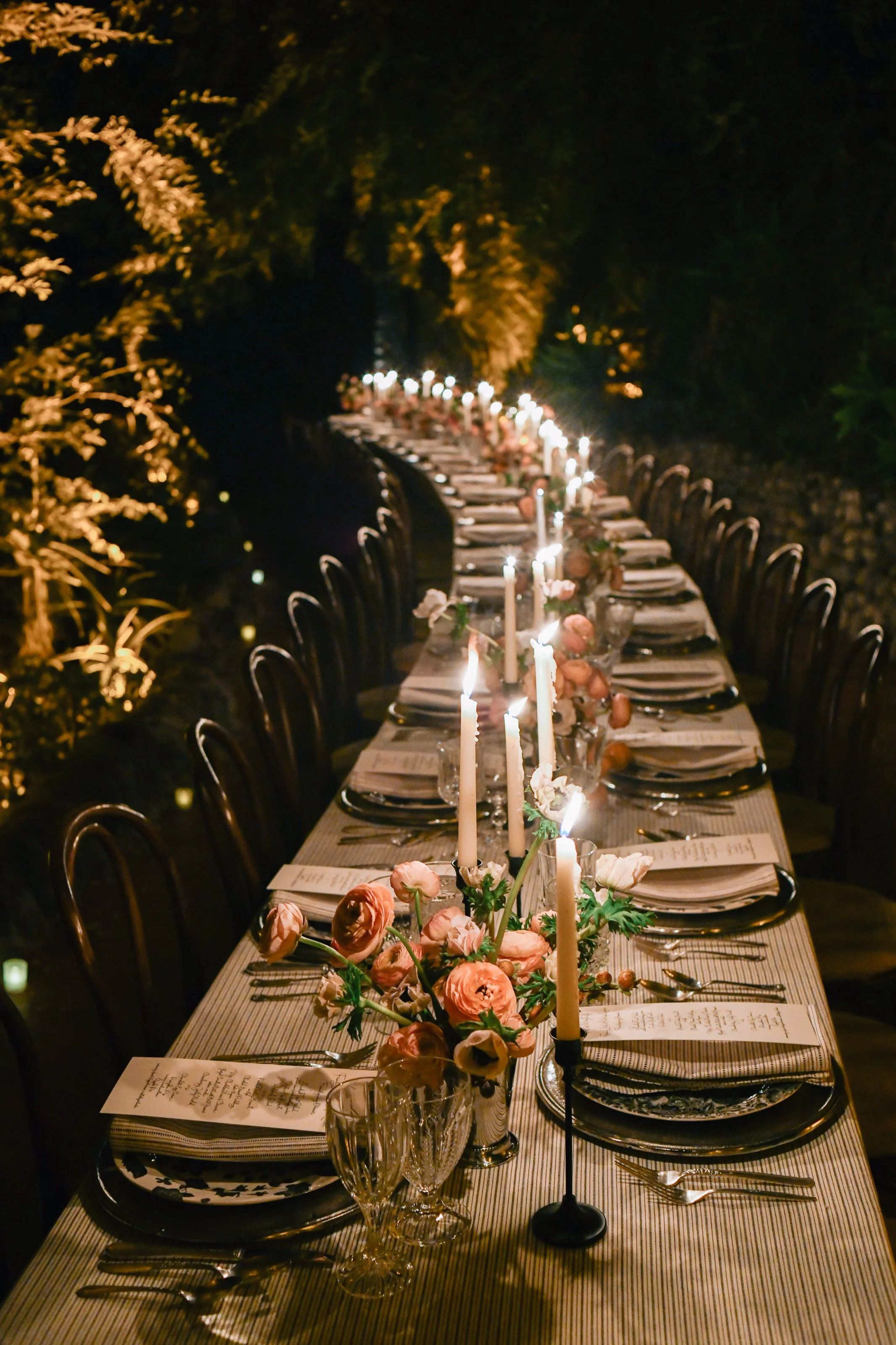 BFA_47474_6762879 (1).jpg