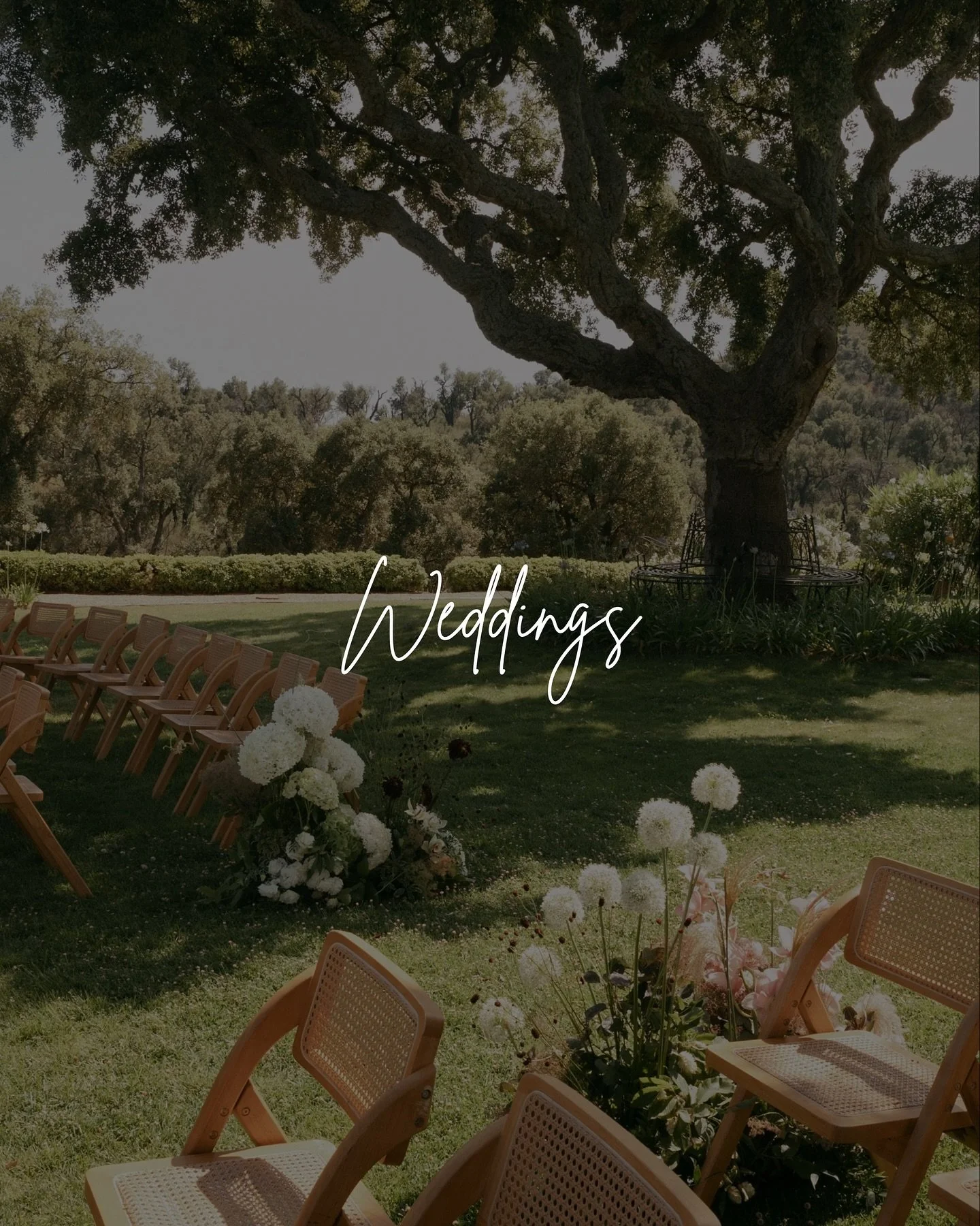 Weddings at Le Mas de Faucon: Explore one of the most picturesque venues in the South of France, enjoying both mountain and sea views and set amongst vineyards. 

Request our brochure for more information including pricing and availability.