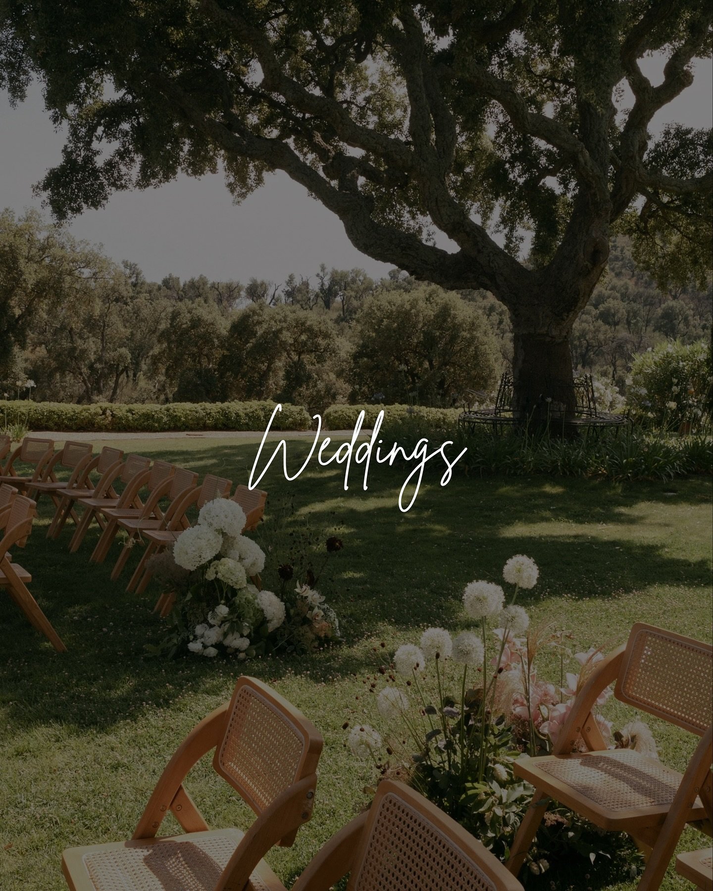 Weddings at Le Mas de Faucon: Explore one of the most picturesque venues in the South of France, enjoying both mountain and sea views and set amongst vineyards. 

Request our brochure for more information including pricing and availability.