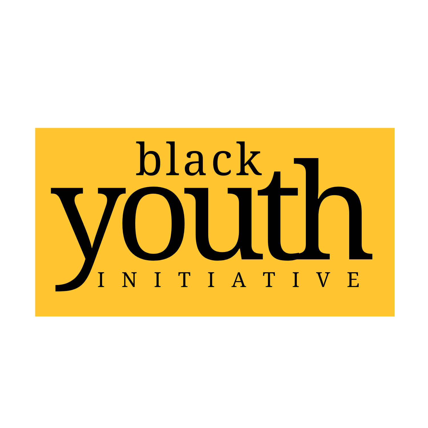 Black  Youth   Initiative