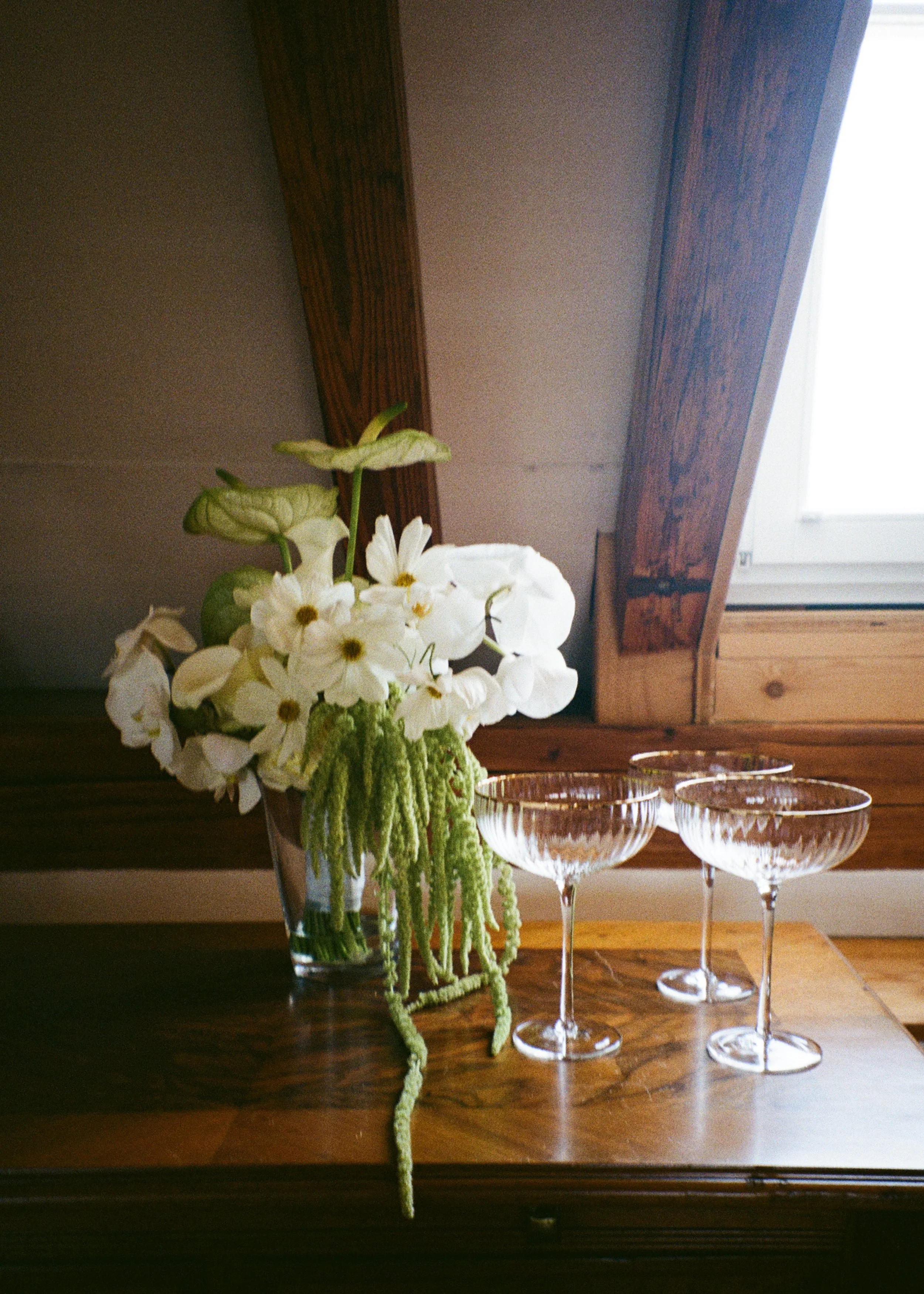 n+k_thesusanlampart_analog-13.jpg