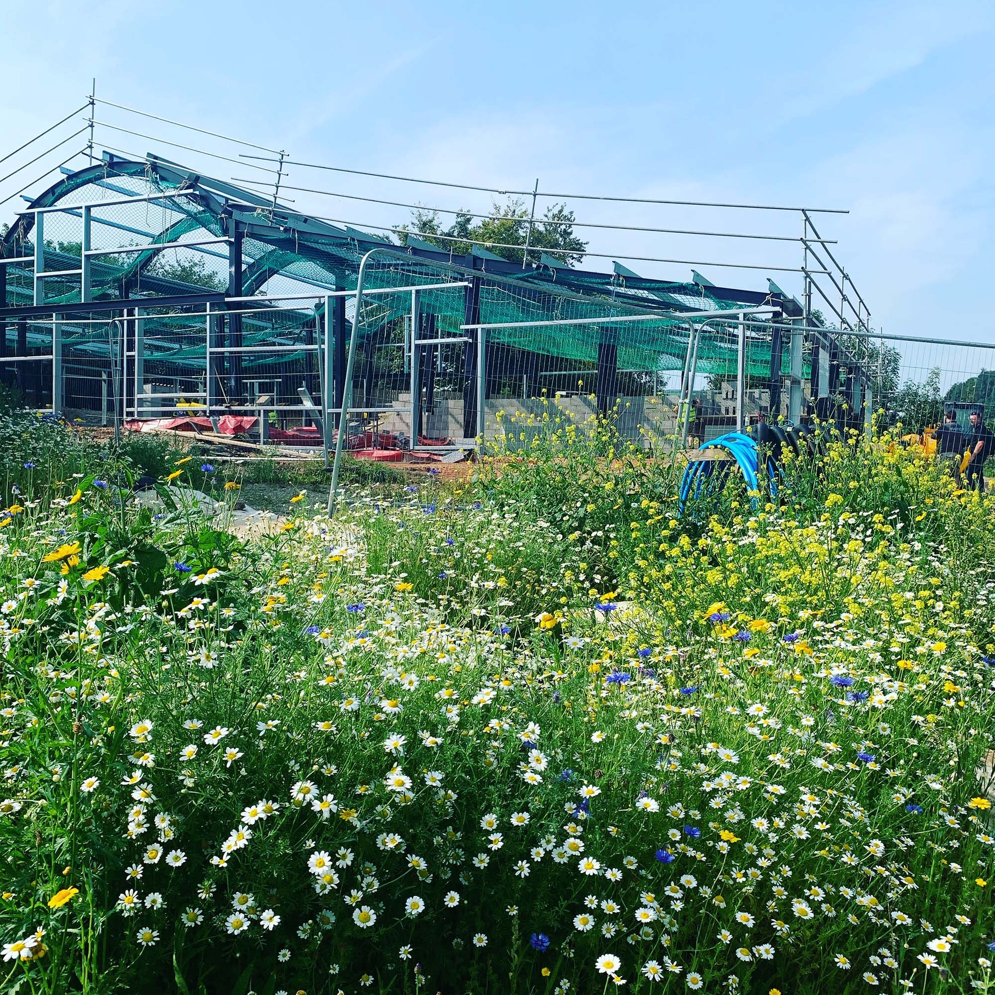 Class Q barn conversion black corrugated. wild flower.jpg