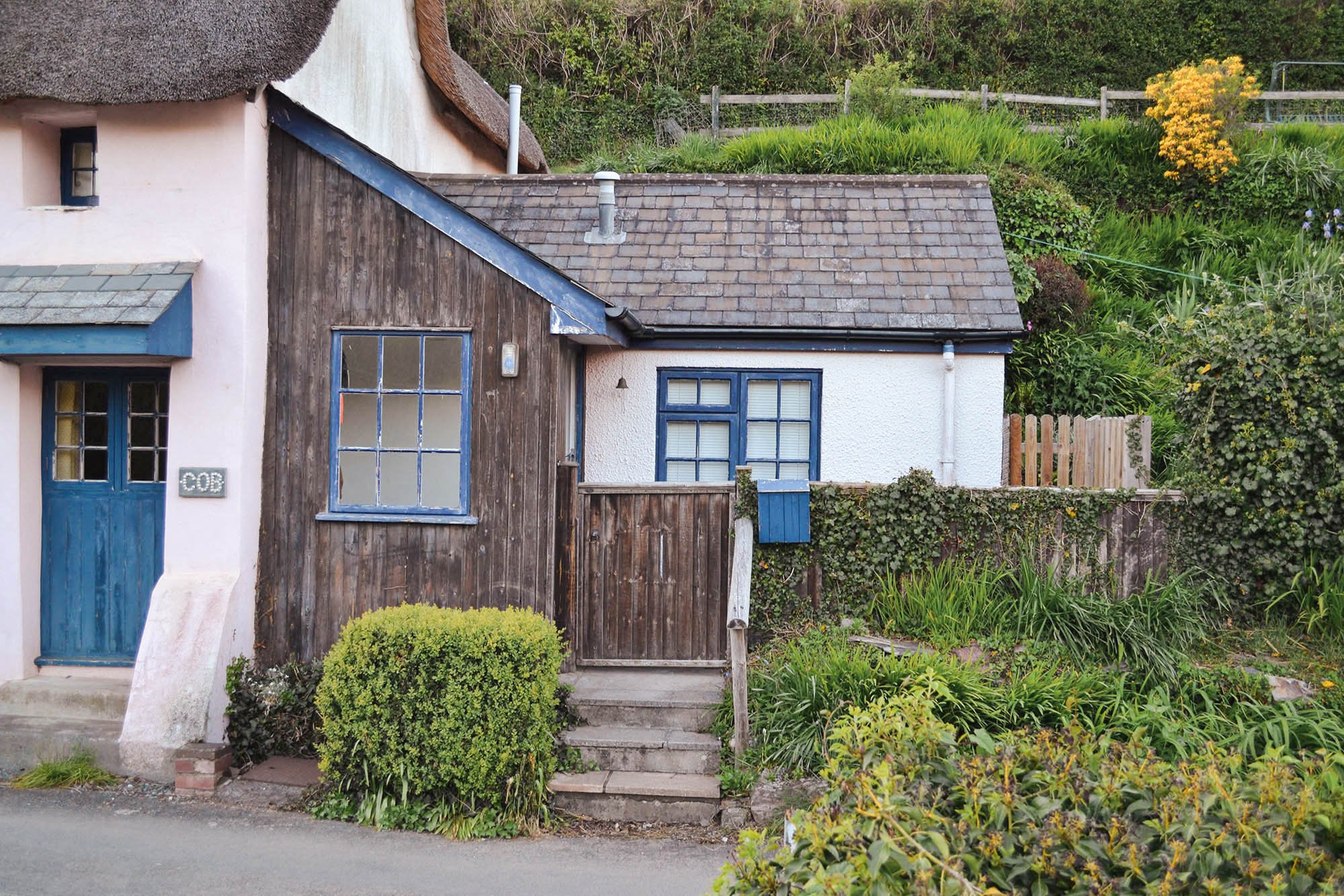 Glass Oak Cob Thatch. original.jpg