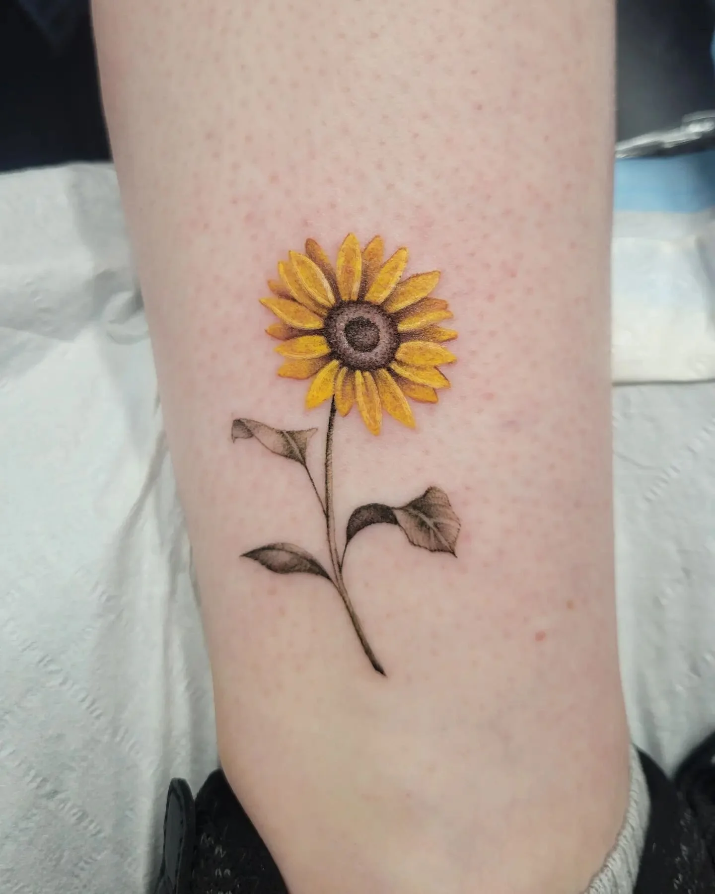 bright lil sunflower 🌻
.
.
.
.
.
.
#sunflowers #sunflowertattoo #flowertattoo #floraltattoo #colortattoo #ankletattoo #smalltattoo #daintytattoo #femininetattoo #femaletattooer #femaletattooartist #ladytattooer #girlswhoink #tattooidea #tattooinspir