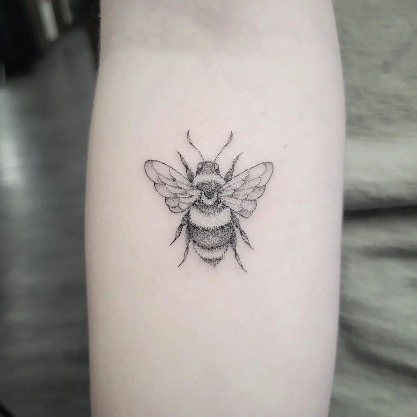 wee lil bee 🐝
.
.
.
.
.
.
.
#beetattoo #smalltattoo #tinytattoo #finelinetattoo #blackworktattoo #blackandgreytattoo #finelinetattooartist #tattooidea #tattooinspiration #tattoodesigns #armtattoos #femininetattoo #daintytattoo #femaletattooer #femal
