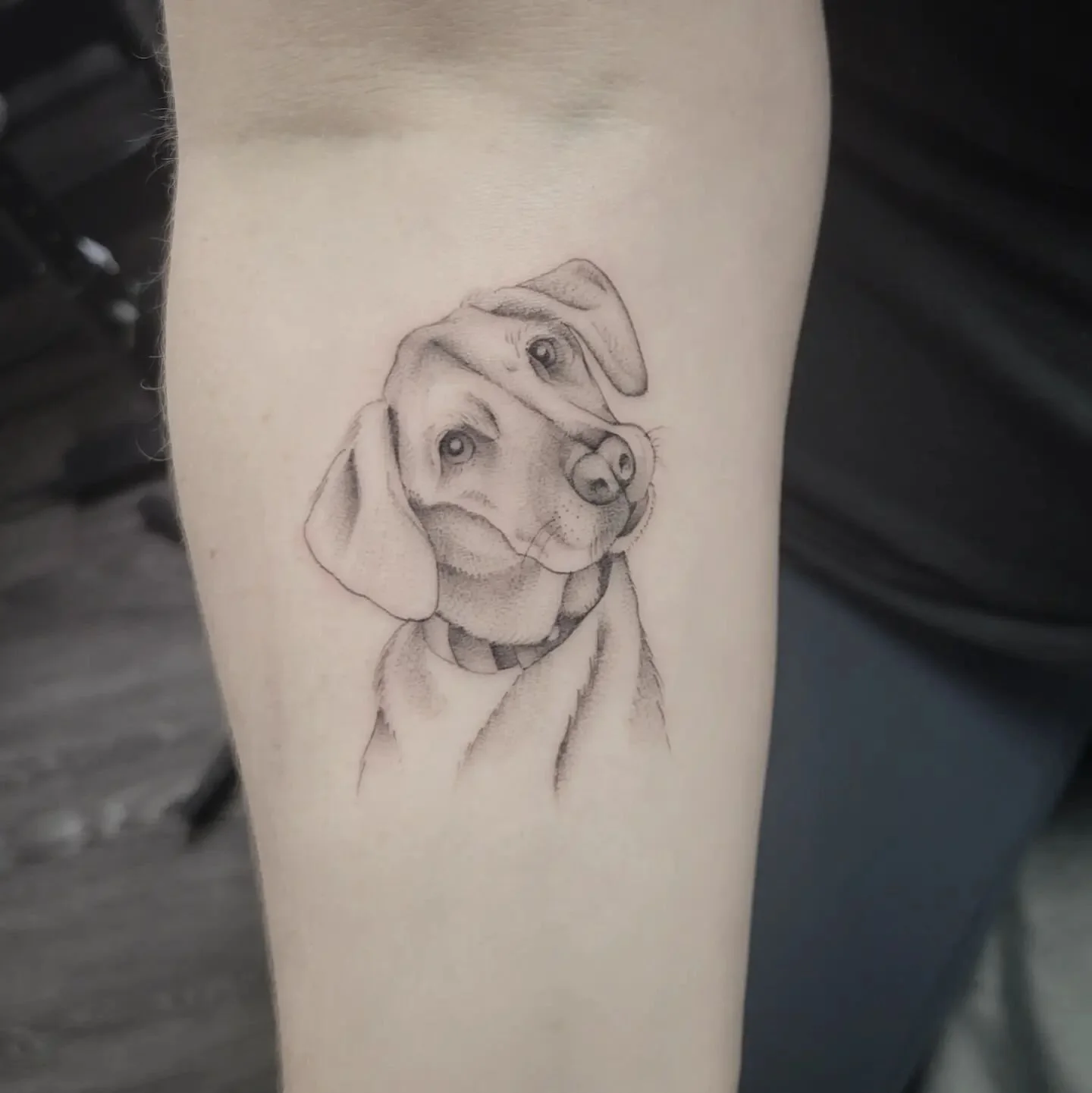 100% good girl 🦴🐕
.
.
.
.
.
.
#dogportraittattoo #dogtattoo #dogportrait #puppyportrait #puppytattoo #finelinetattoo #finelinetattooartist #blackandgreytattoo #armtattoos #tattooidea #customtattoo #tattoodesigns #tattooinspiration #femaletattooer #