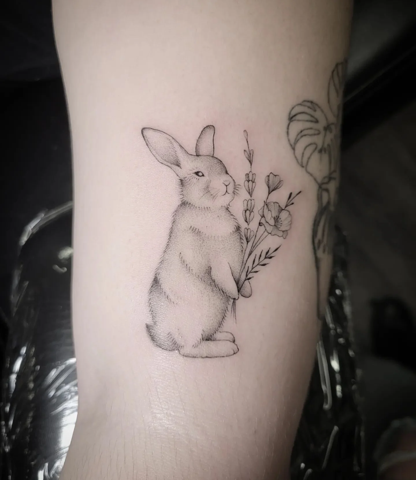 Teeny lil bunny 🐰
.
.
.
.
.
.
#bunnytattoo #rabbittattoo #floraltattoo #cutetattoo #whimsicaltattoo #cartoontattoo #storybooktattoo #finelinetattoo #blackworktattoo #blackandgreytattoo #femaletattooer #femaletattooartist #ladytattooer #girlswhoink #