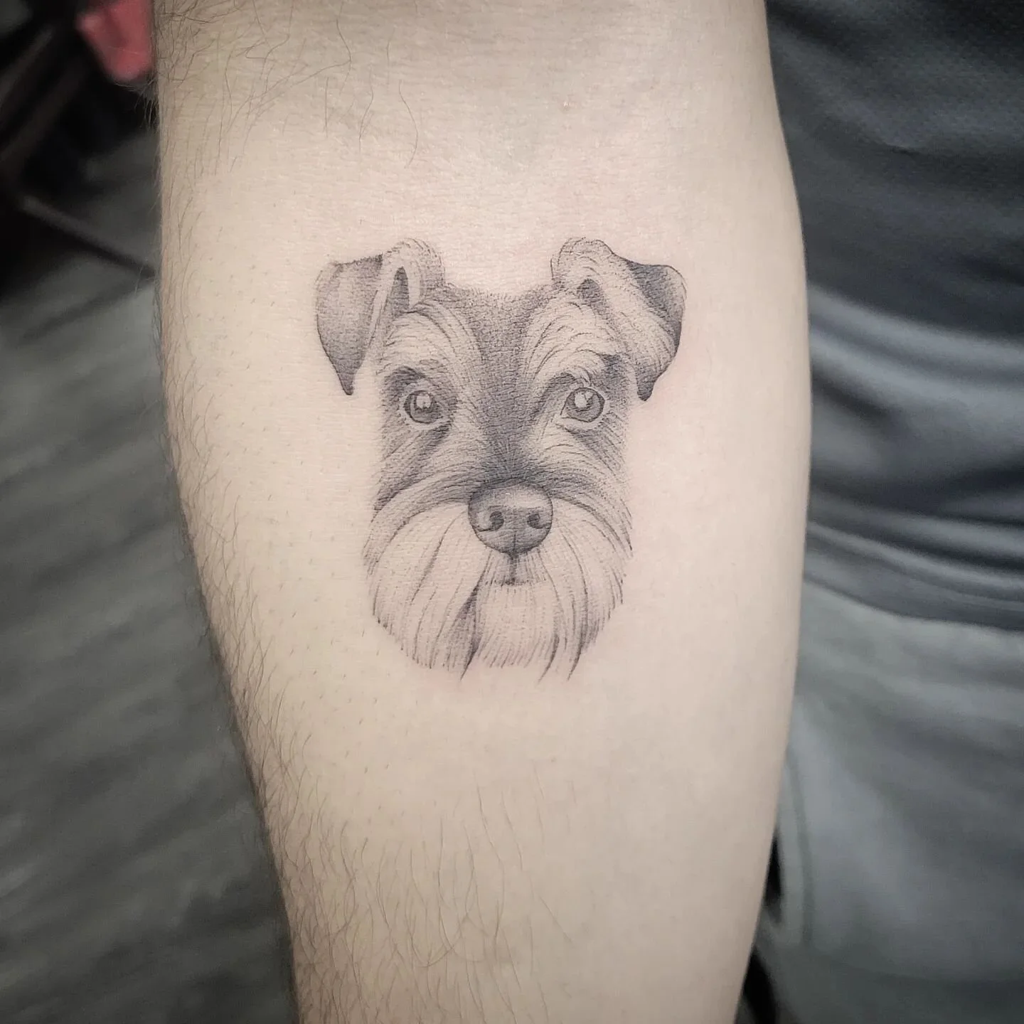 Another day another pup 
.
.
.
.
.
.
#dogportraittattoo #dogtattoo #dogportrait #puppytattoo #puppyportrait #blackworktattoo #blackandgreyrealism #smalltattoo #cutetattoo #customtattoo #finelinetattoo #tattooidea #tattoodesigns #tattooinspiration #fi