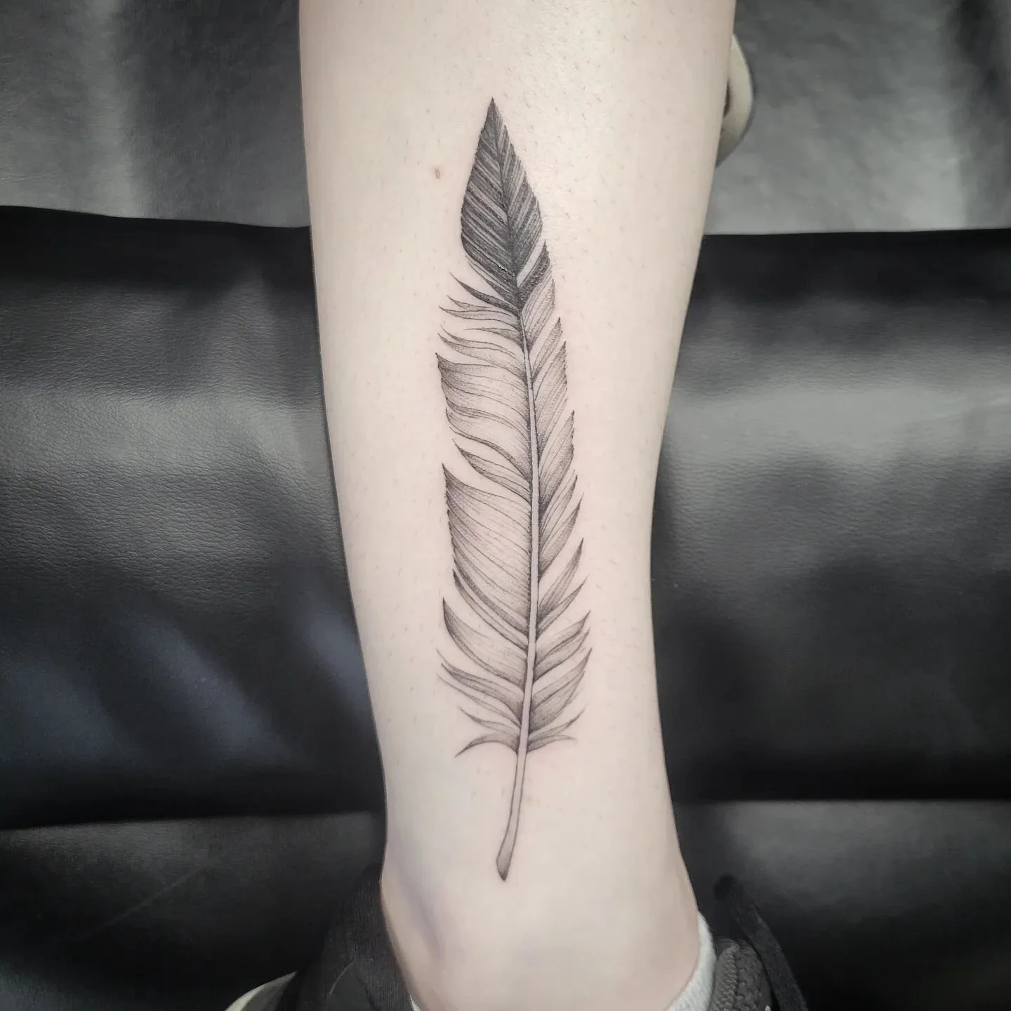 Rain's feather from the movie Spirit 🐎🪶
.
.
.
.
.
.
#feathertattoo #finelinetattoo #finelinetattooartist #blackandgreytattoo #tattooidea #tattooinspiration #tattoodesigns #femaletattooer #femaletattooartist #ladytattooer #girlswhoink #marylandtatto