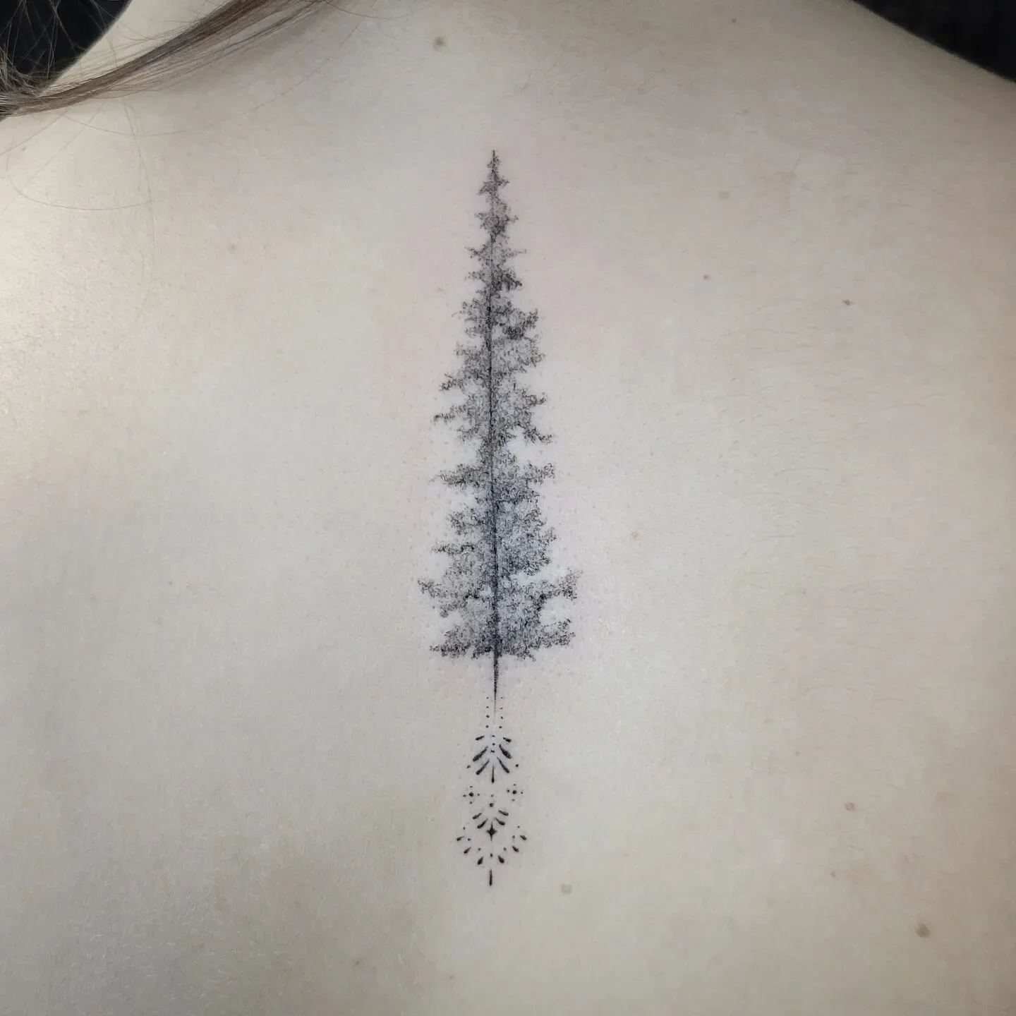 wee lil tree 🌲
.
.
.
.
.
.
.
#pinetreetattoo #ornamentaltattoo #blackandgreytattoo #finelinetattoo #spinetattoo #daintytattoo #femininetattoo #tattooidea #tattooinspiration #tattoodesigns #customtattoo #femaletattooer #femaletattooartist #ladytattoo