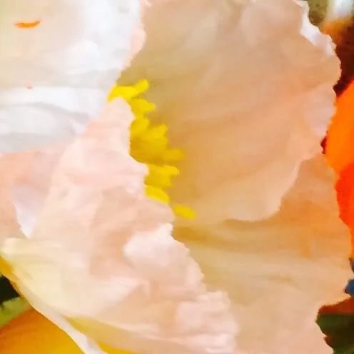 NMD_karen_11_500x500_crop_80.jpg