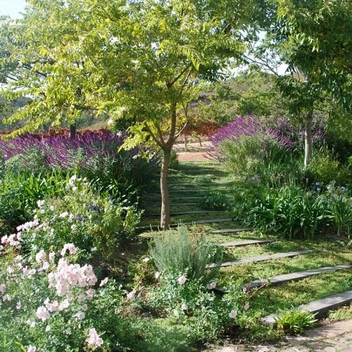 NMD_karen_1_500x500_crop_80.jpg