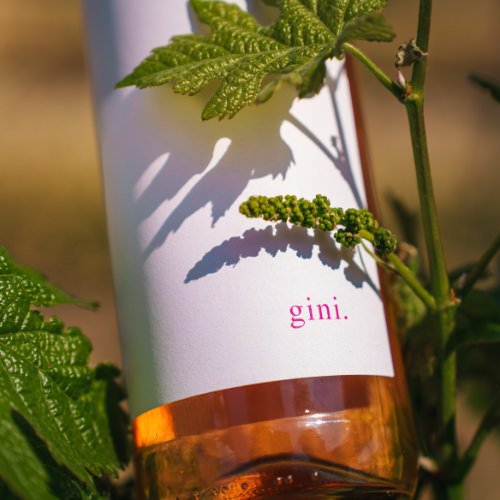 NMD_gini_1_500x500_crop_80.jpg