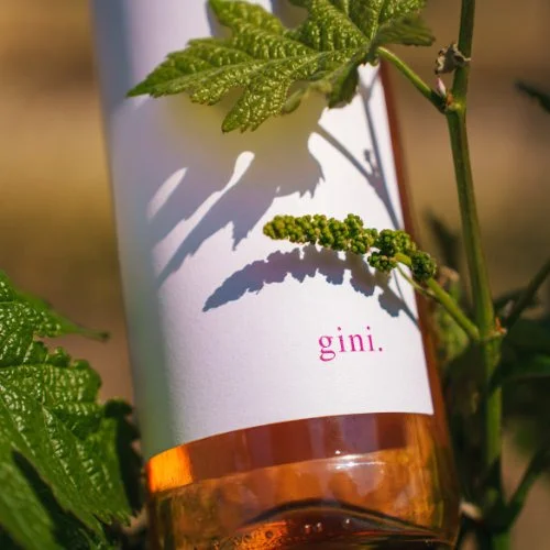 NMD_gini_1_500x500_crop_80.jpg