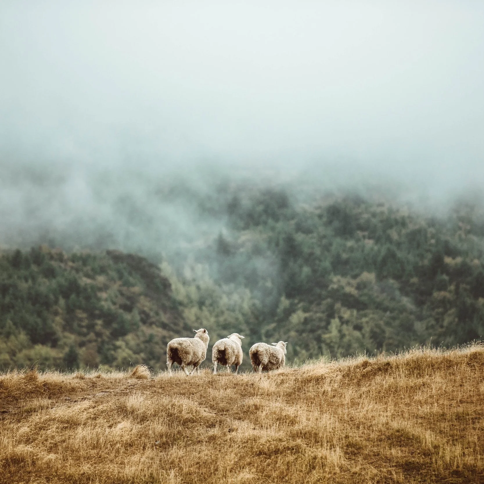 Stoneway Church Reading, England