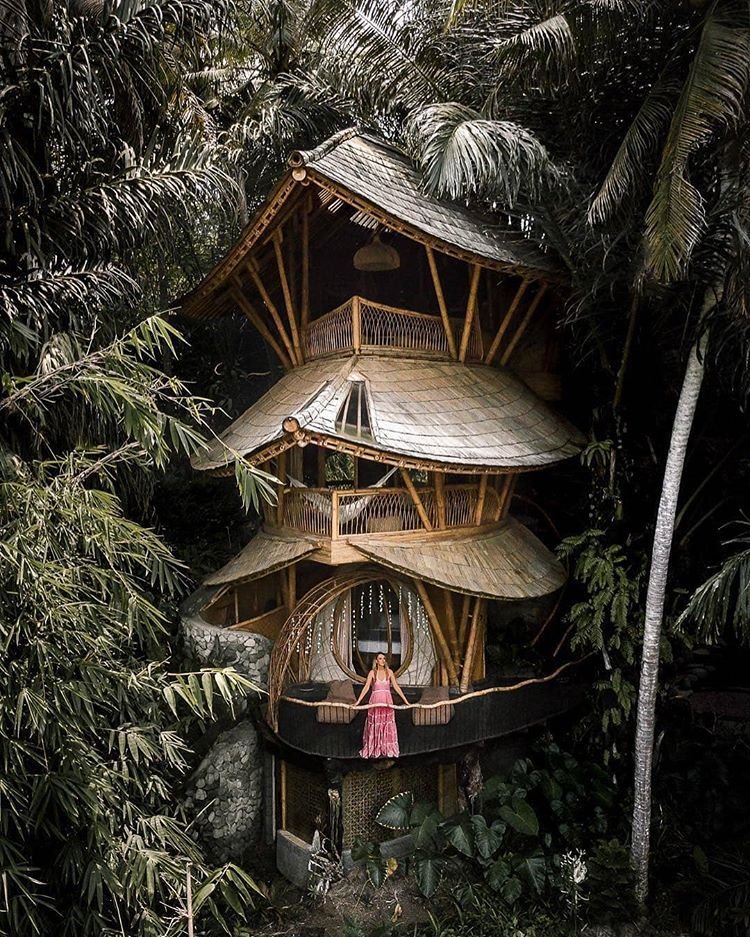 treehouse.jpeg