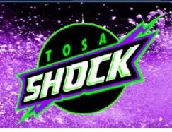 tosa shock.JPG