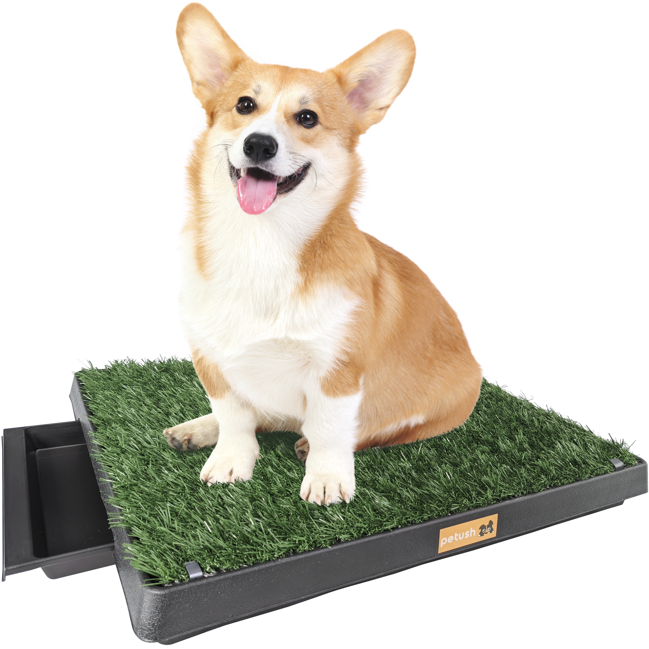 grass patch for dogs