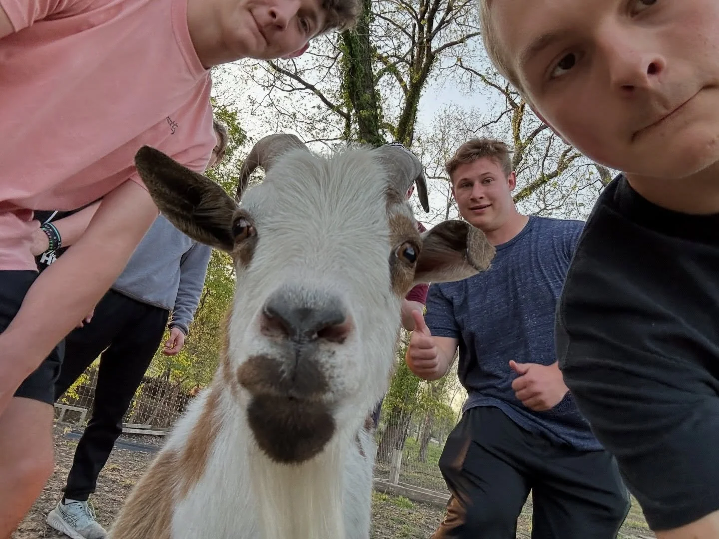 EASTER PARTY IS TONIGHT!!! 🐣 

We are watching the weather closely. We will update y&rsquo;all of any changes to plans, but as of right now we are still on! See y&rsquo;all at 6 at the Carr house!