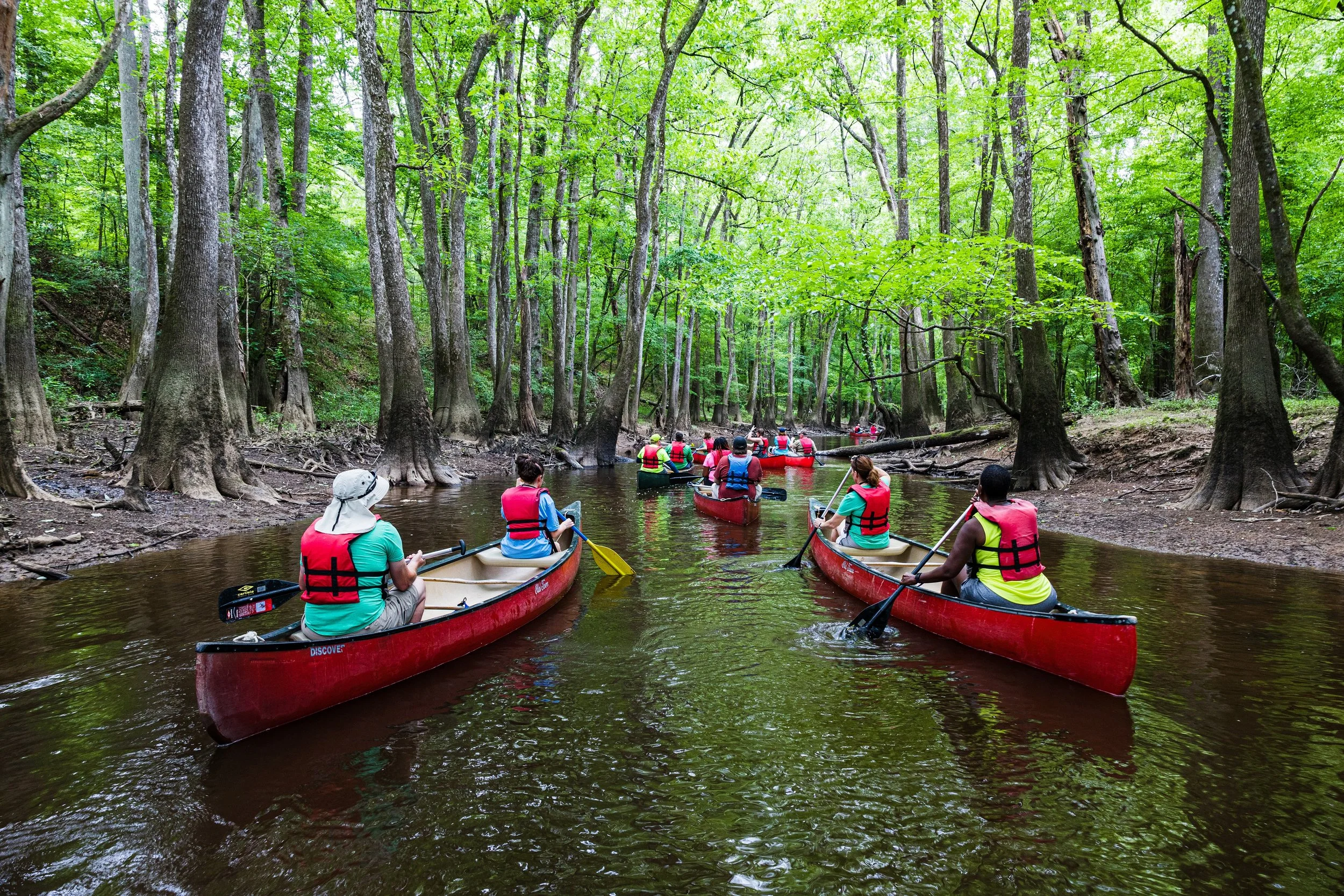 Palmetto Outdoor Tube & Congaree Canoe Tour