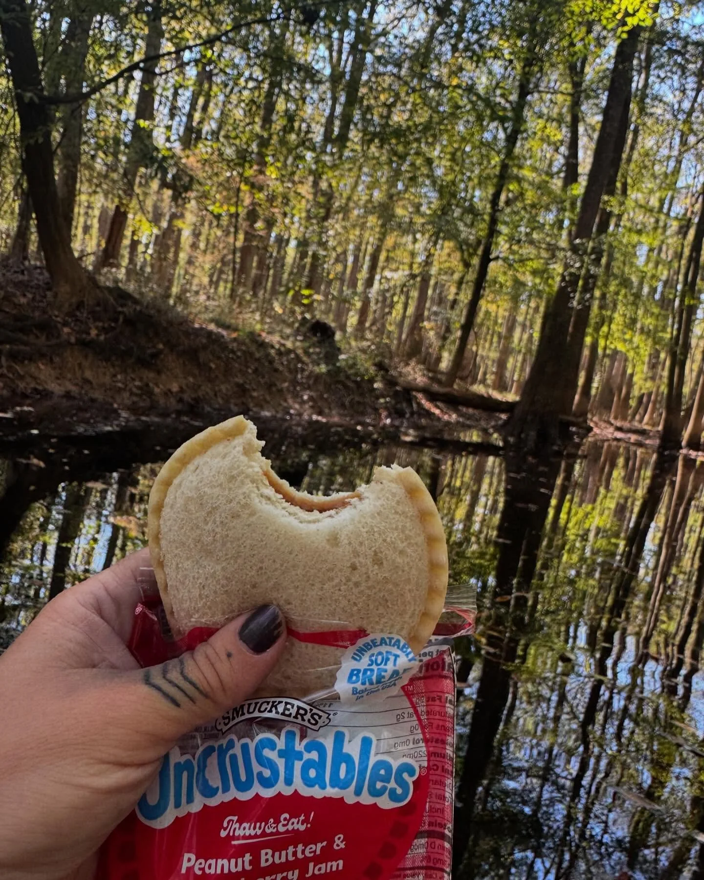 Lunch with a view @congareenps 
•
•
#palmettooutdoor #wecosc #congareenationalpark #realcolumbiasc