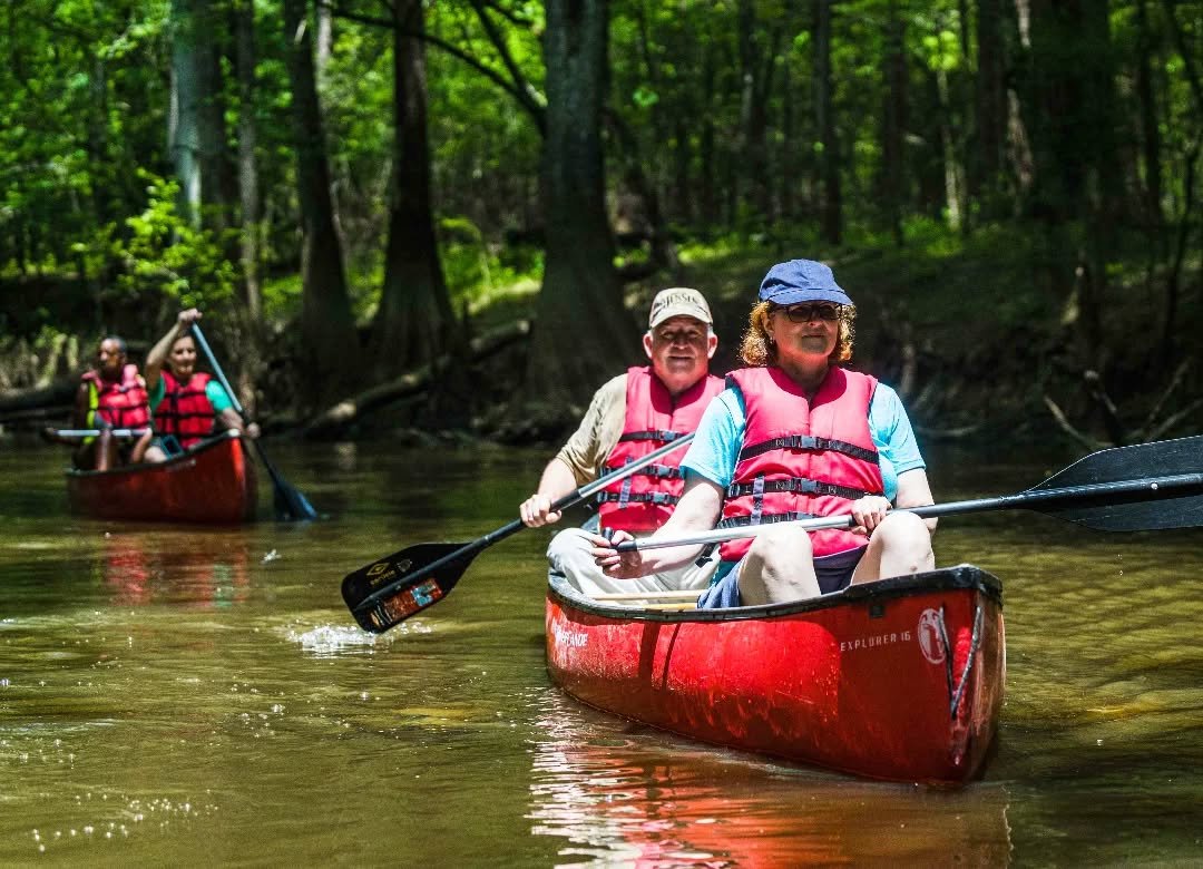 Life is better outdoors! ☀️🌿

Visit our website to book one of our guided trips through the lovely @congareenps 🛶

.

.

#palmettooutdoor #congareenationalpark #exploresc #discoversc #getoutdoors