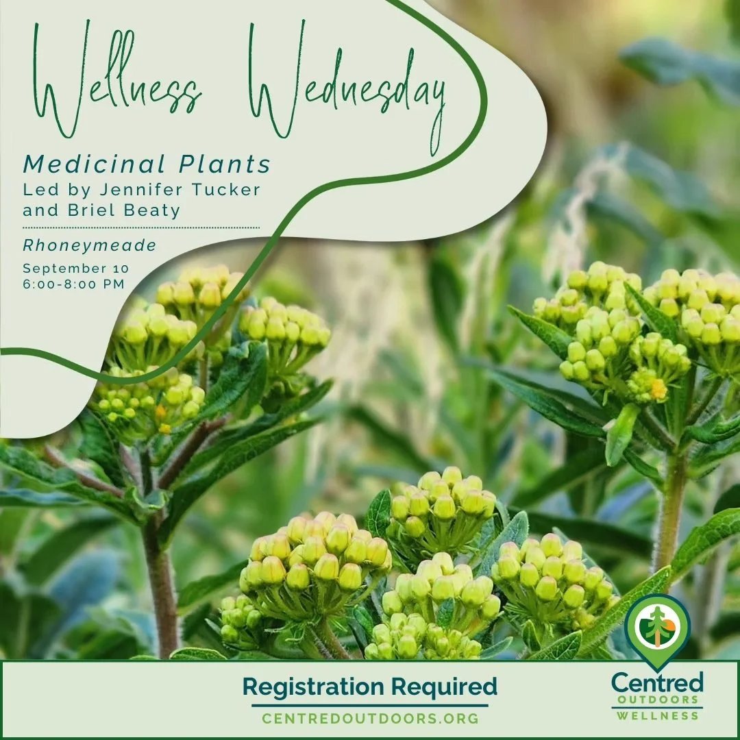 Centred Outdoors Wellness Program - Medicinal Plants